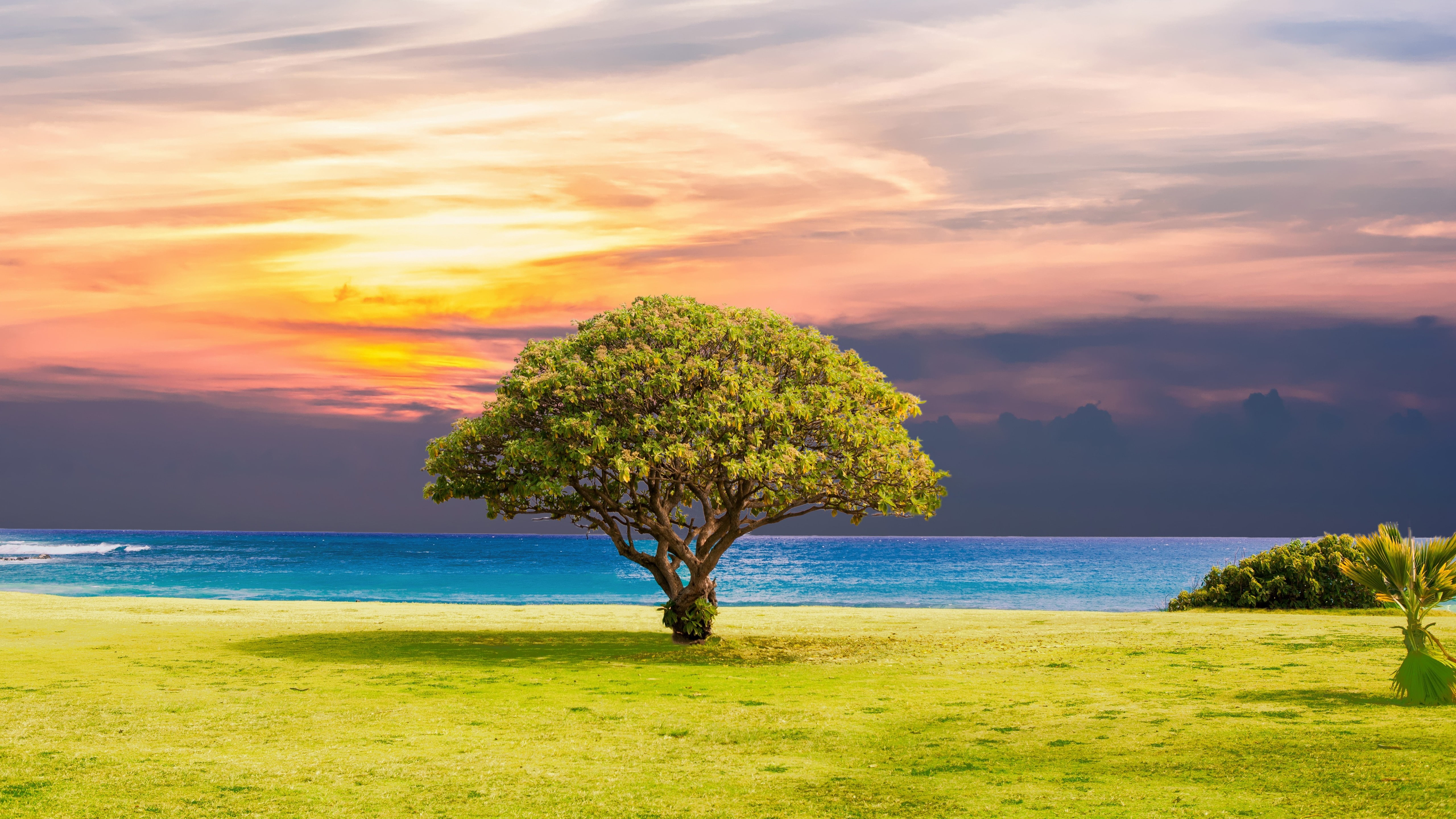 grass coast beach calm landscape horizon tropics sunlight 2k 4k 5k