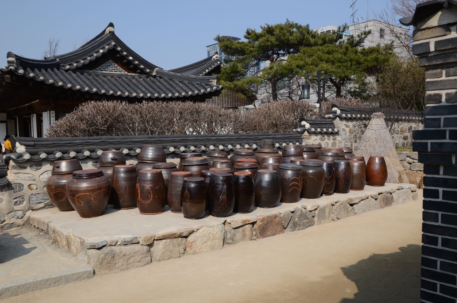 gyeongbok palace namsan hanok village chapter reading korea 2k 4k 5k
