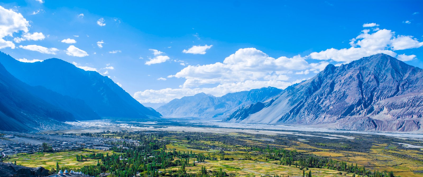 india ladakh leh northern range trek n tour trees 2k 4k 5k