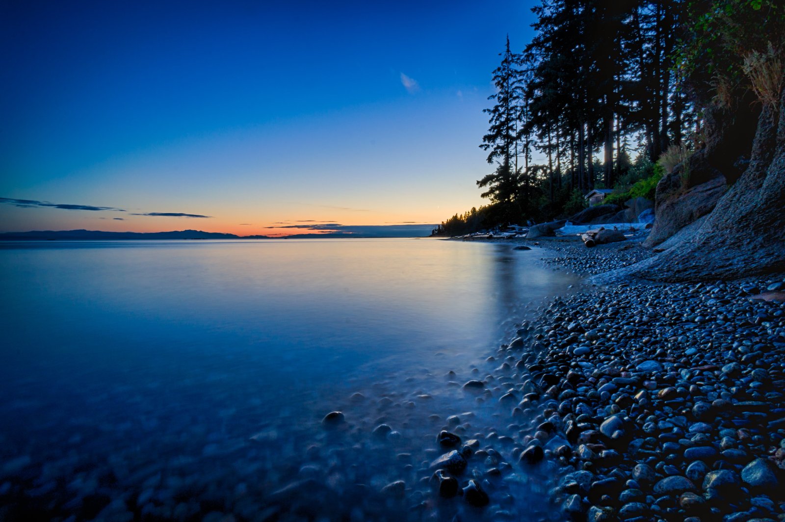 landscape photography of tree near body water sunshine coast 2k 4k 5k