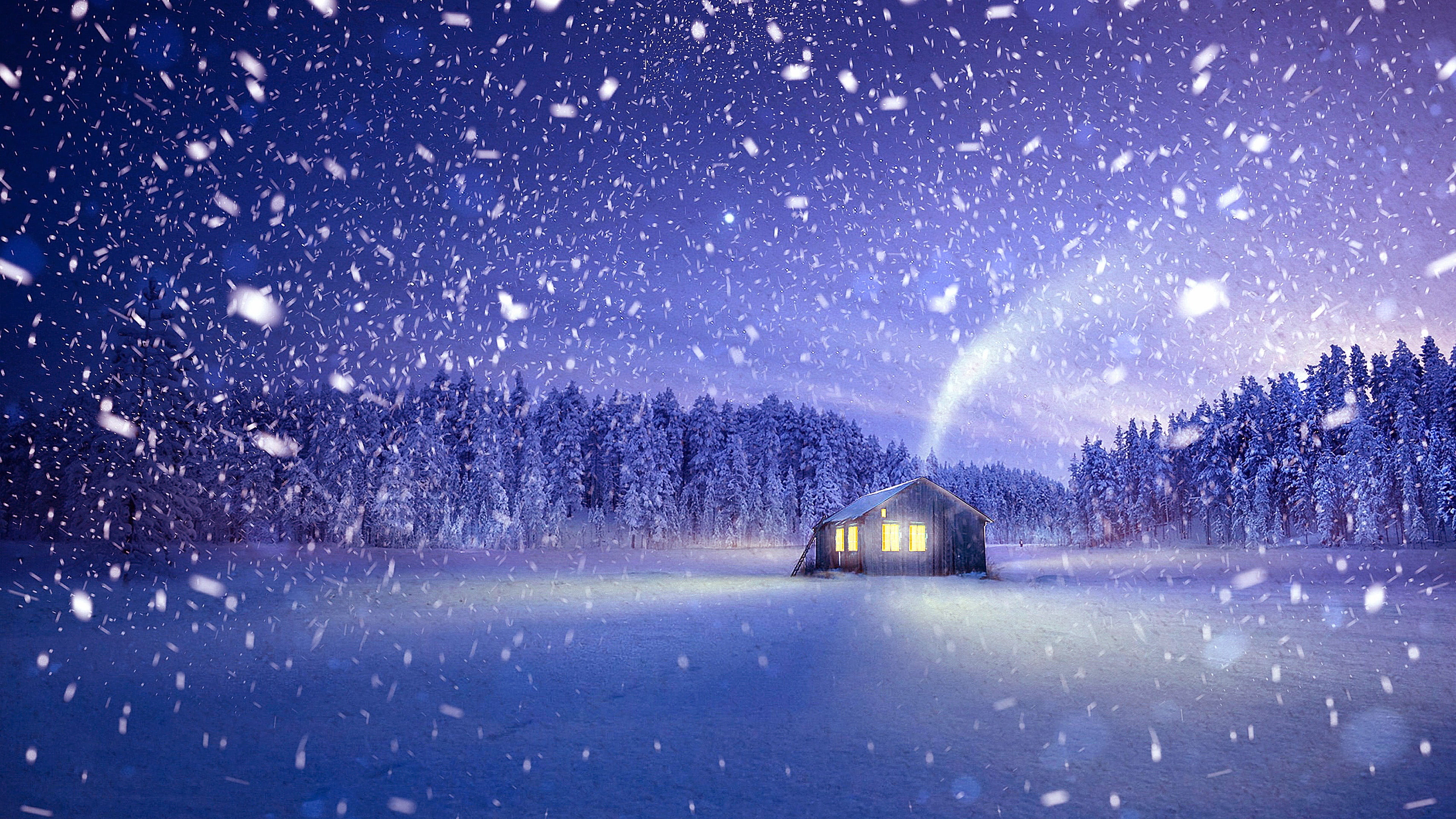 nature night snow winter freezing tree snowfall cold temperature 2k 4k