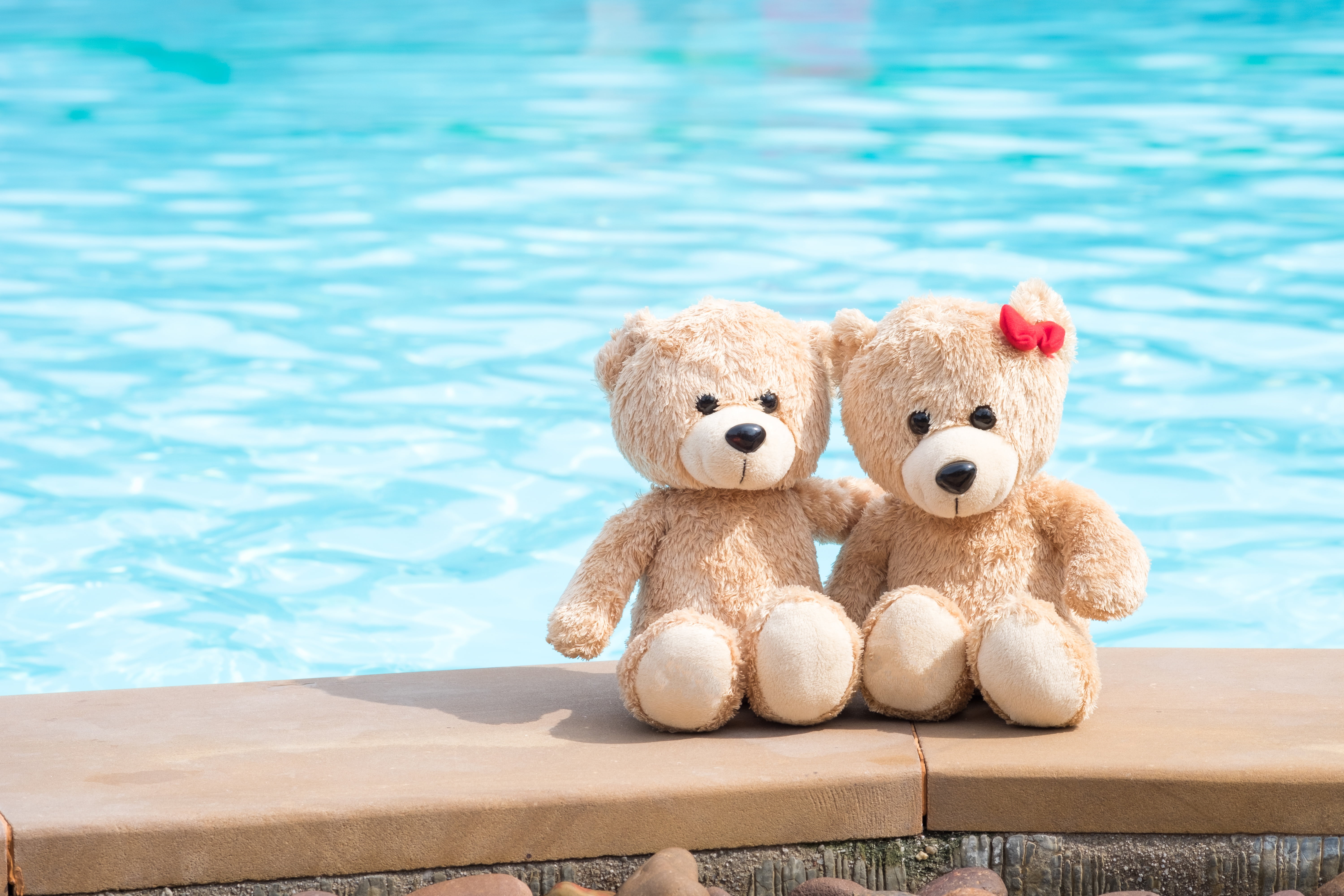 sea beach love toy bear pair two romantic couple teddy 2k 4k 5k