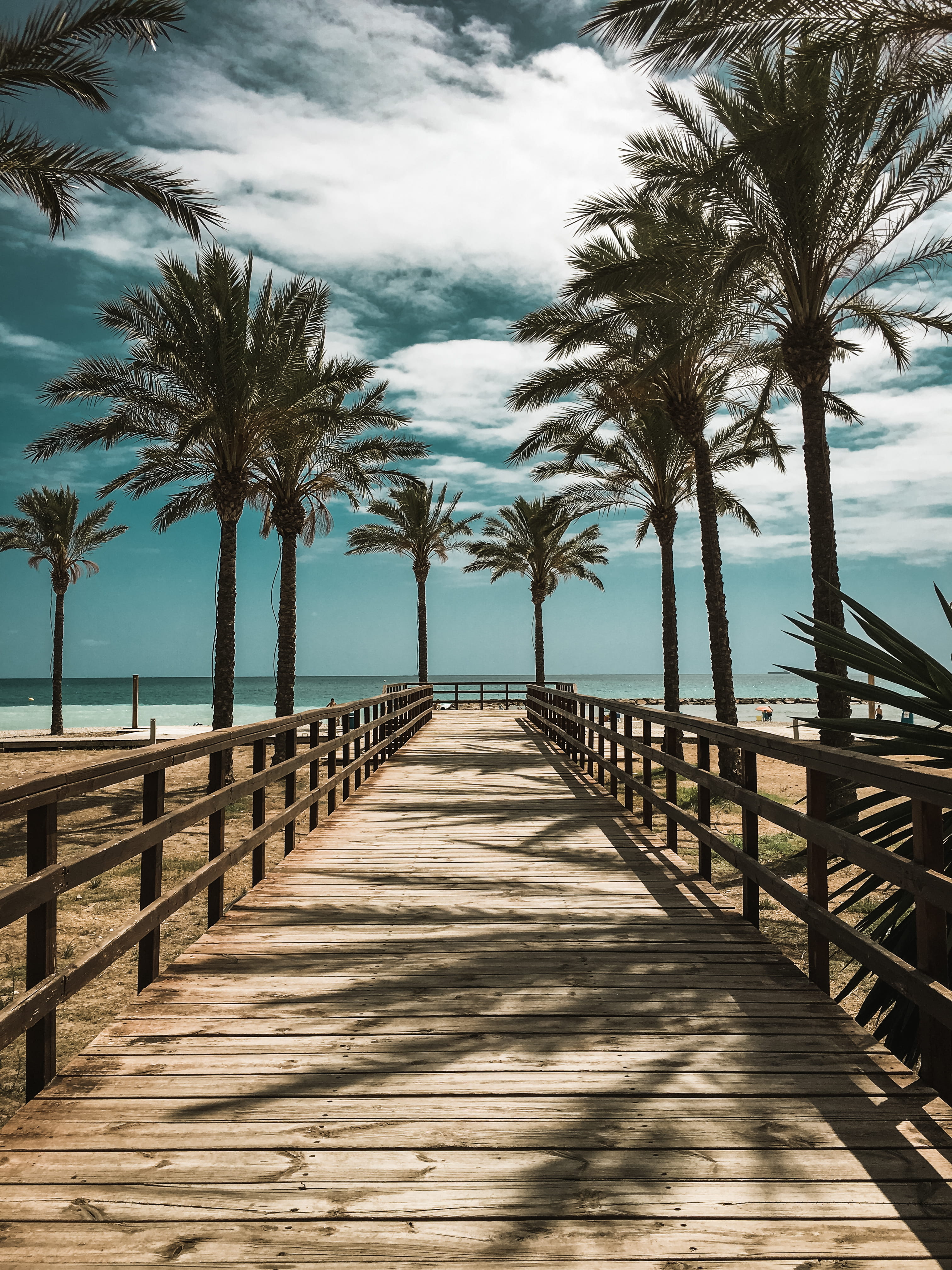 spain benic ssim trees summer beach direction the way forward 2k