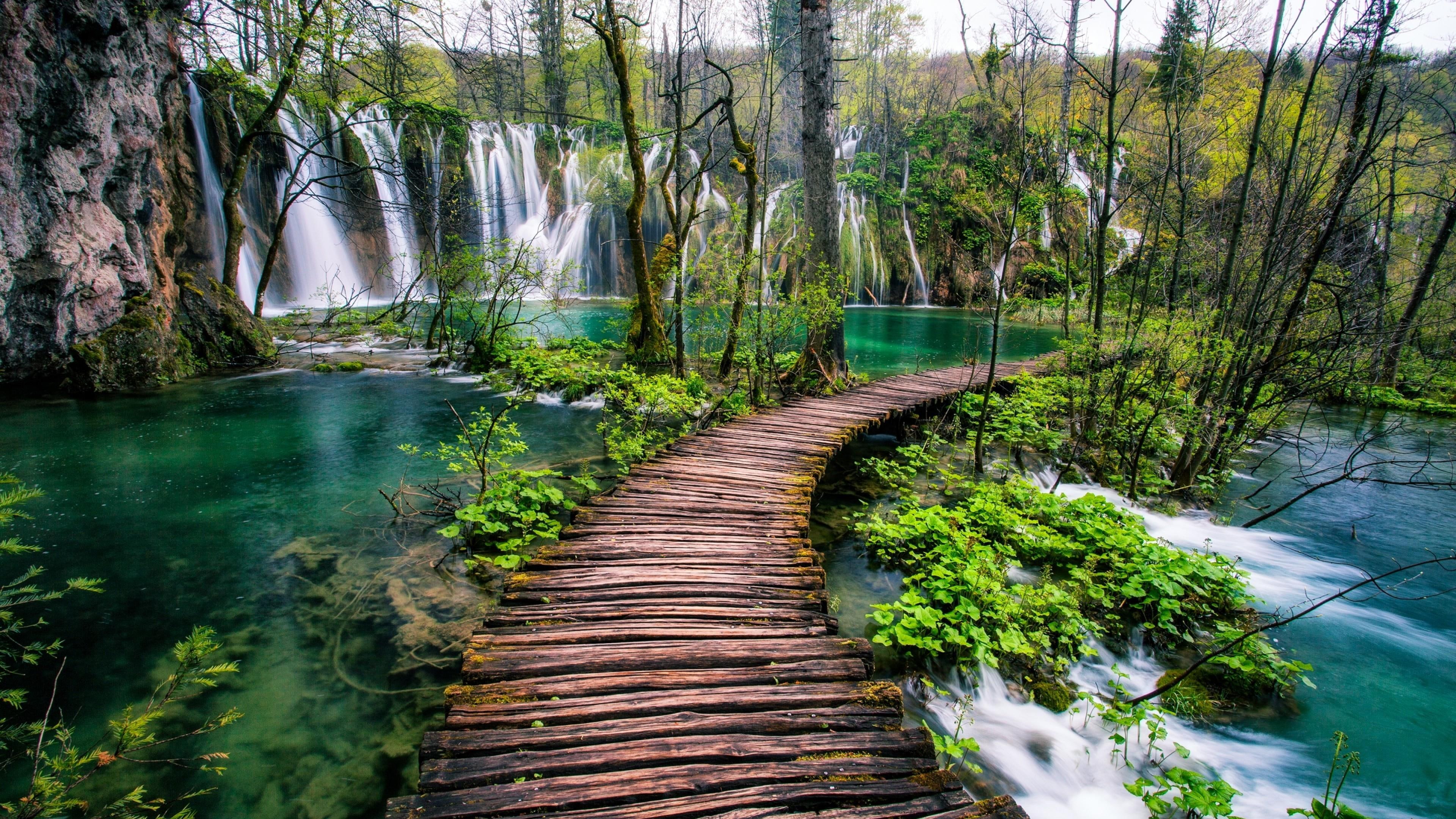 travel wood path national park plitvice lakes 2k 4k