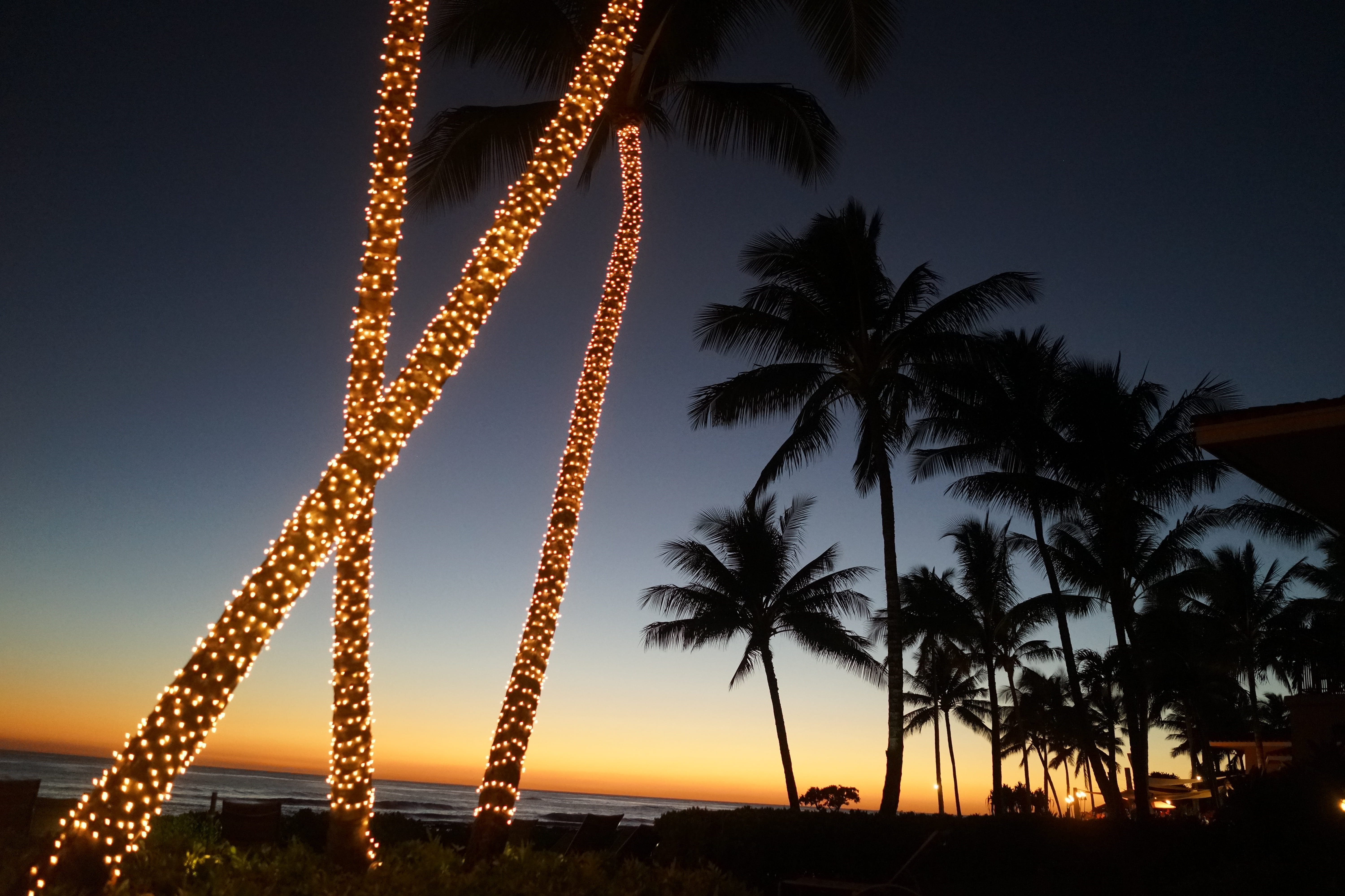 united states koloa poipu beach palm tree kauai christmas light 2k 4k 5k