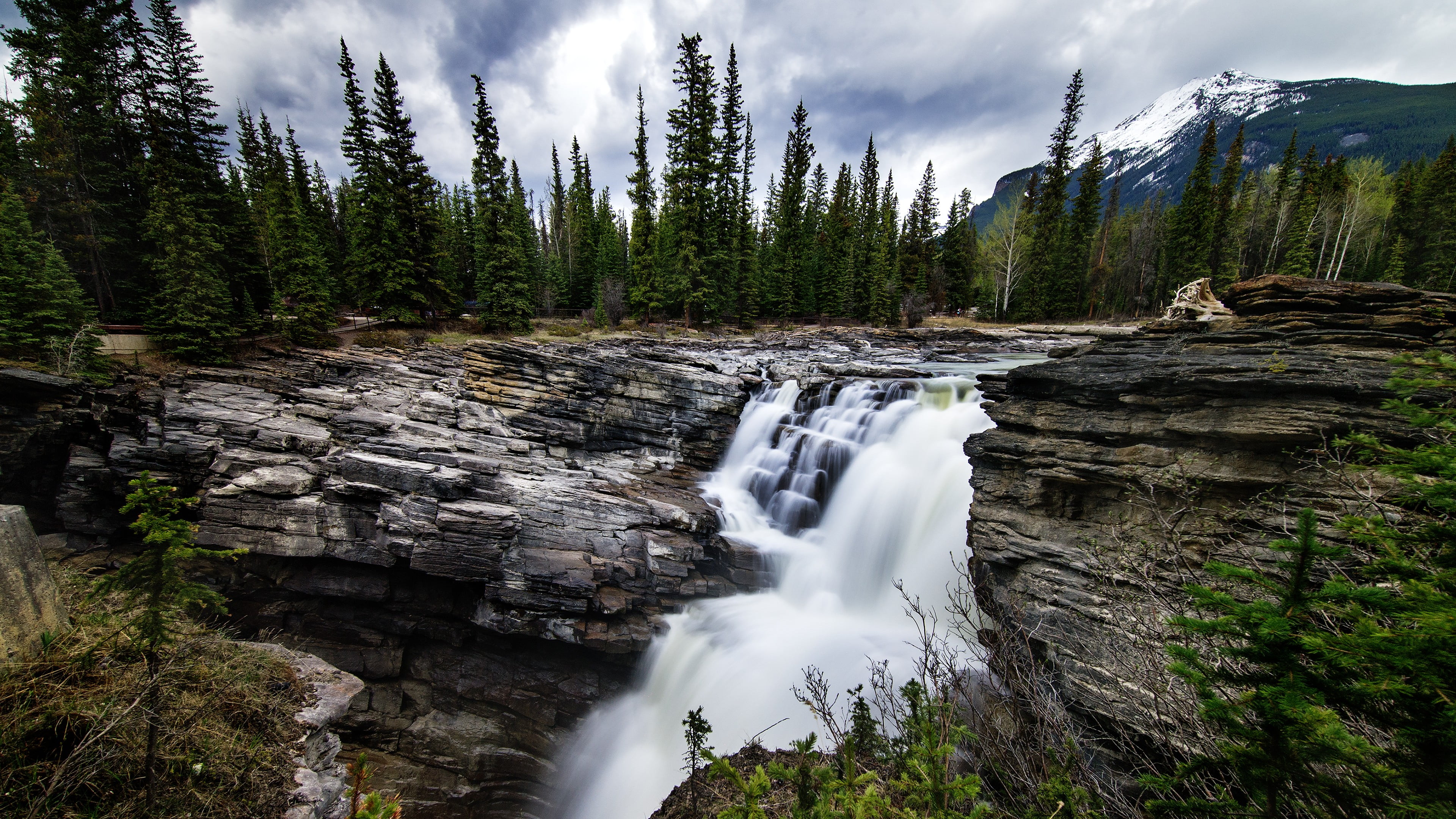 waterfalls with green trees nature landscape river forest 2k 4k