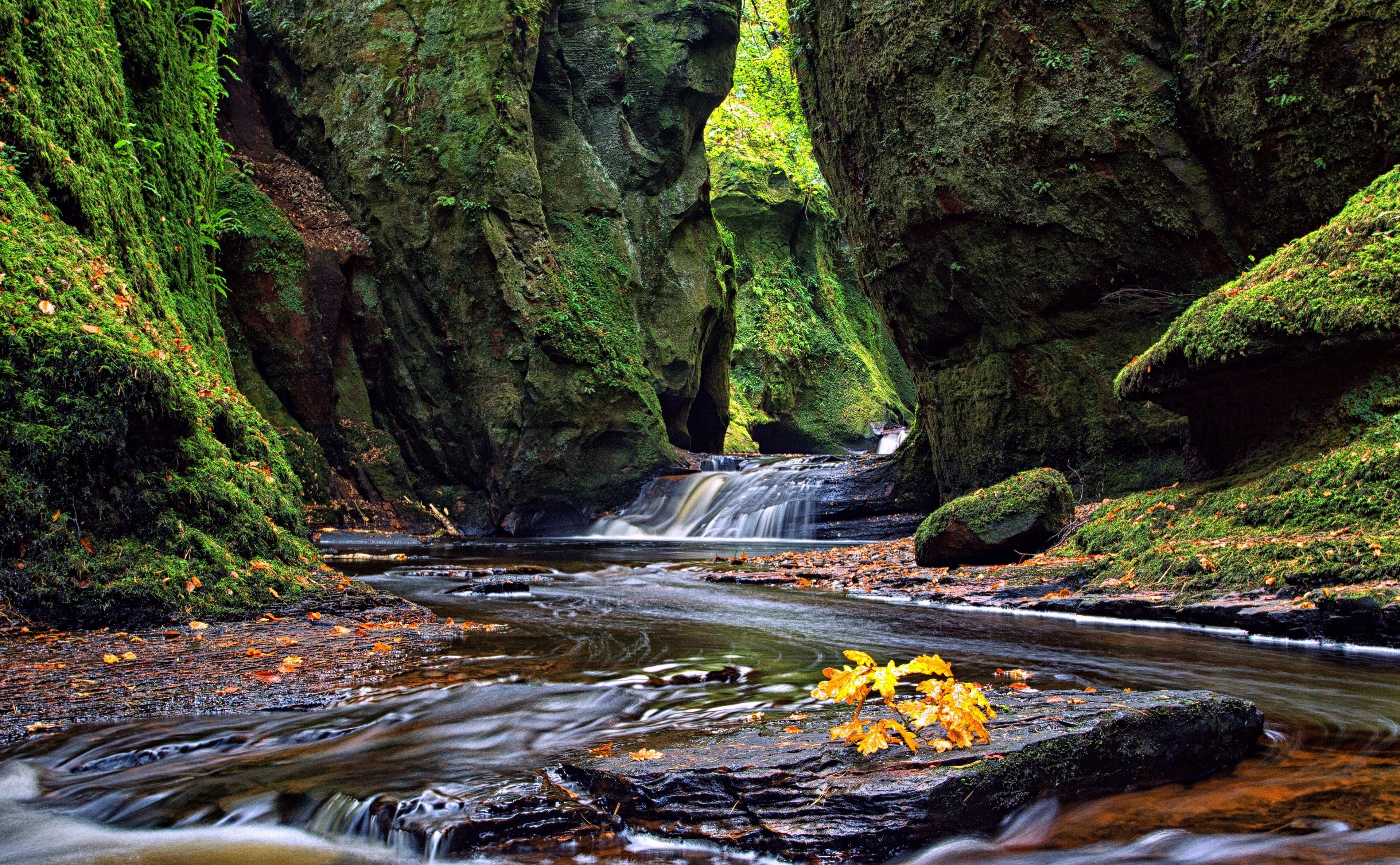 A Walk Through Finnich Glen Europe United Kingdom Nature Beautiful 2k 4k