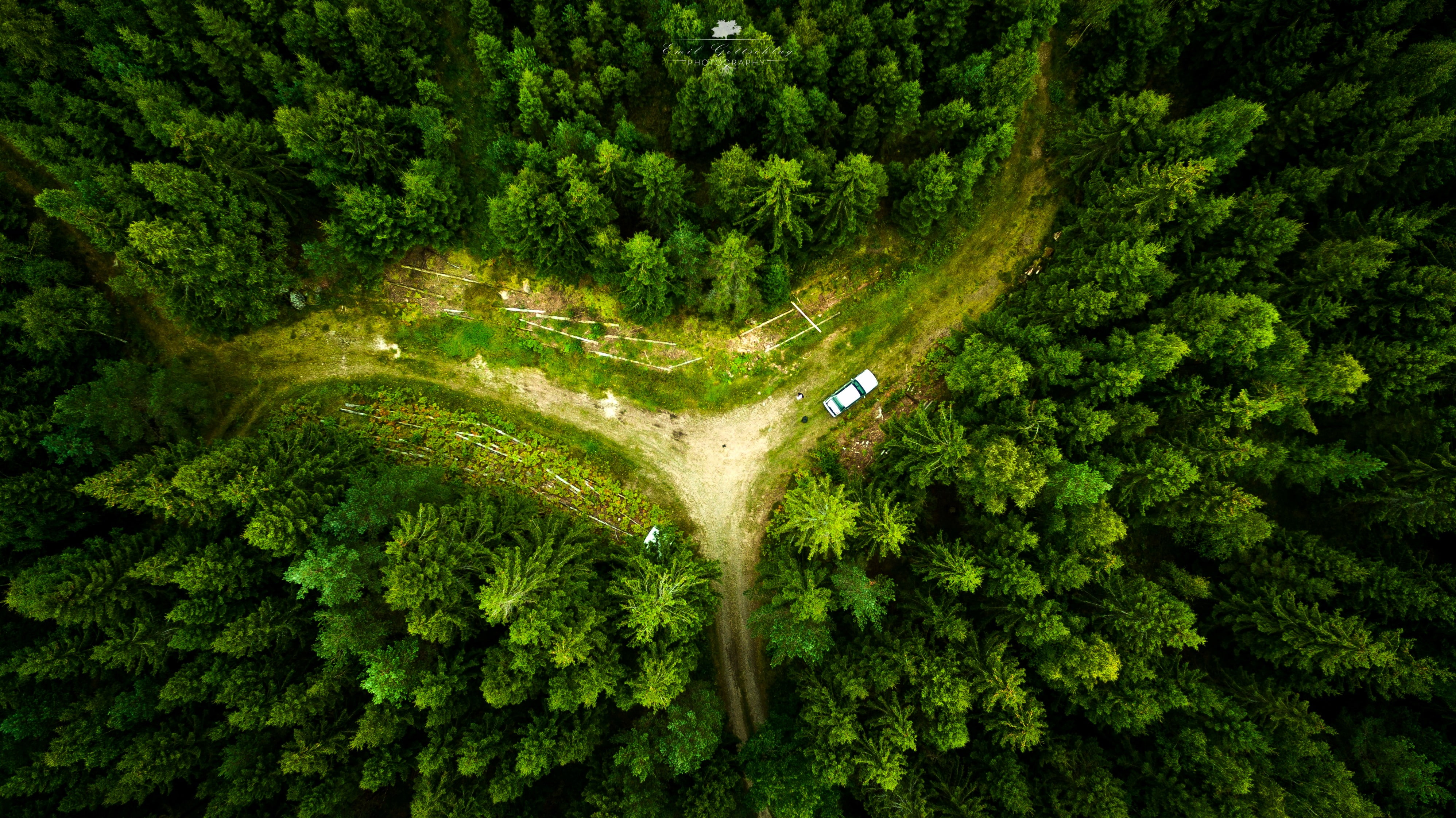 aerial view drone landscape forest nature 2k 4k