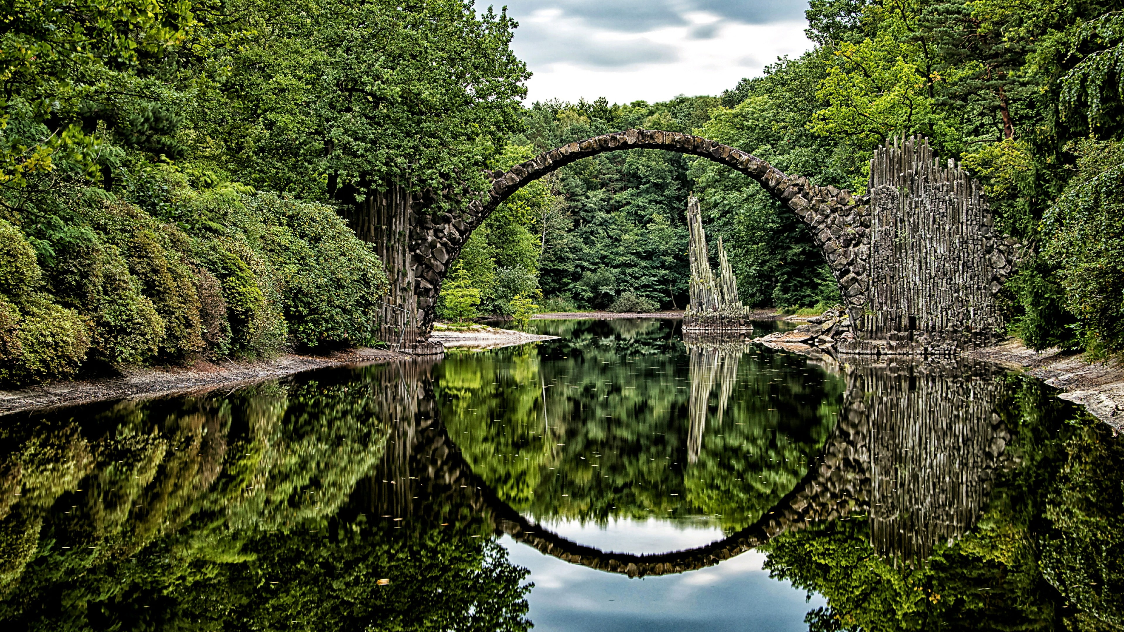 azalea and rhododendron park reflection nature green water 2k 4k