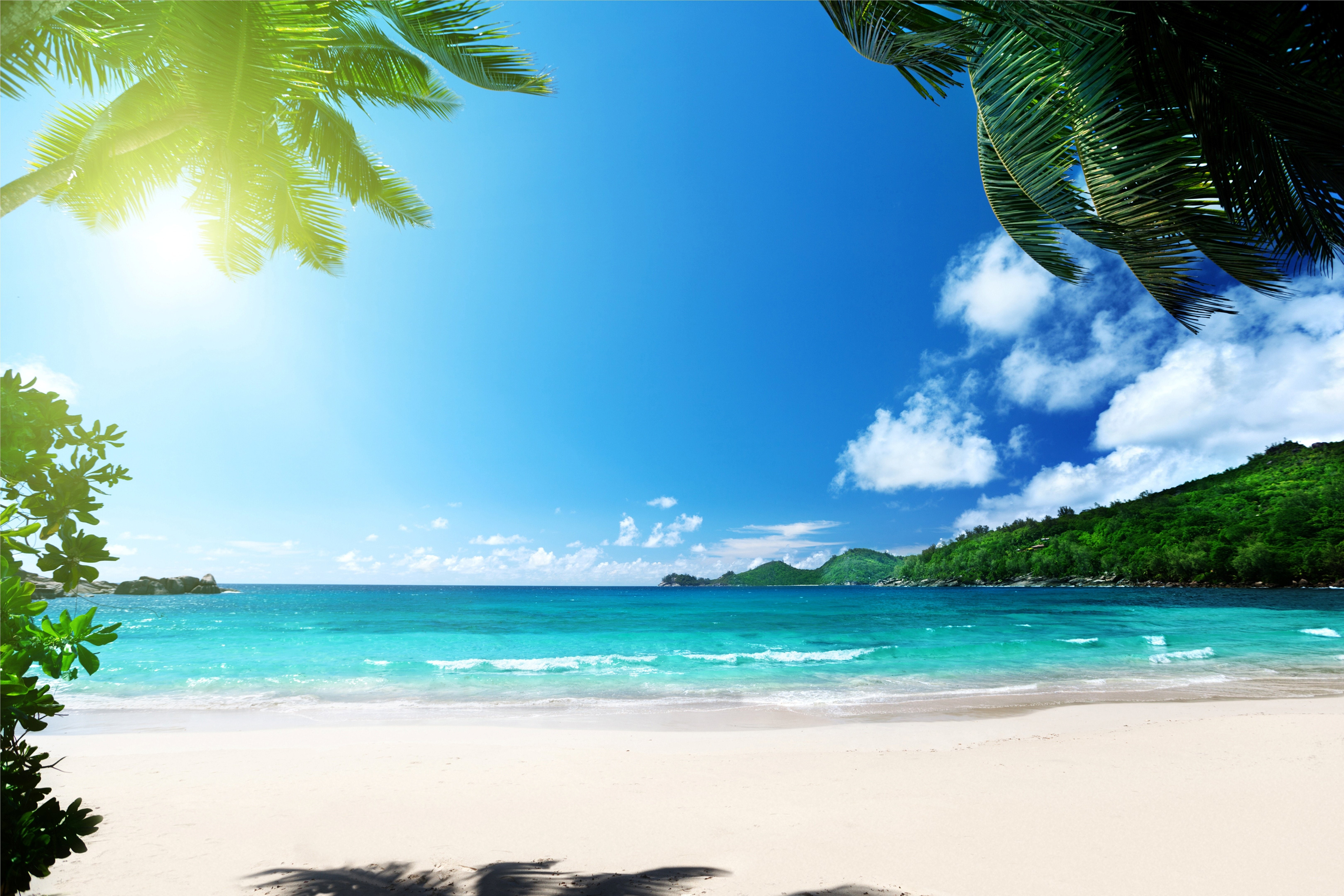 beach ocean palms paradise sea summer sunshine tropical 2k 4k 5k