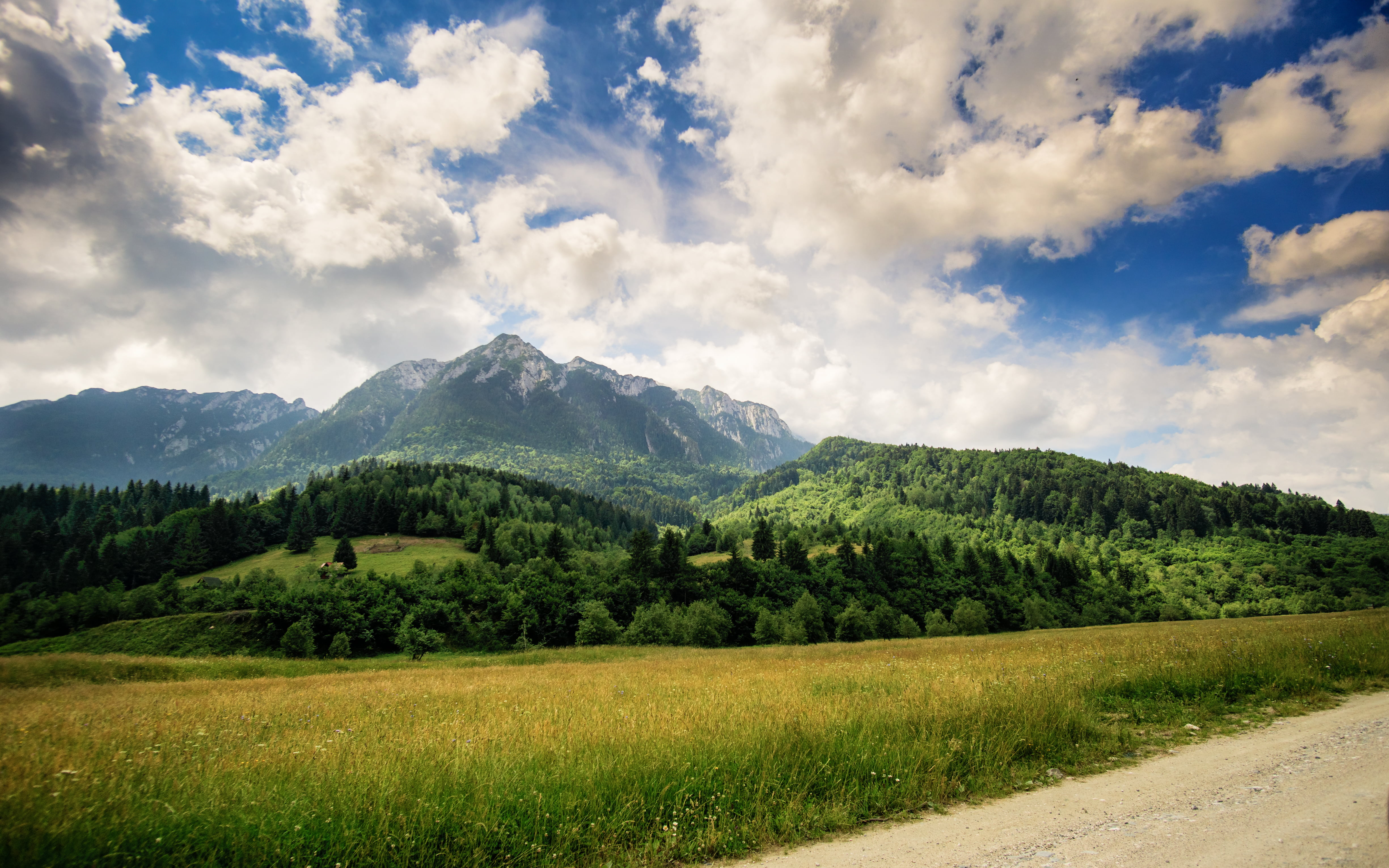 green grassfield with mountain background nature summer forest 2k 4k 5k