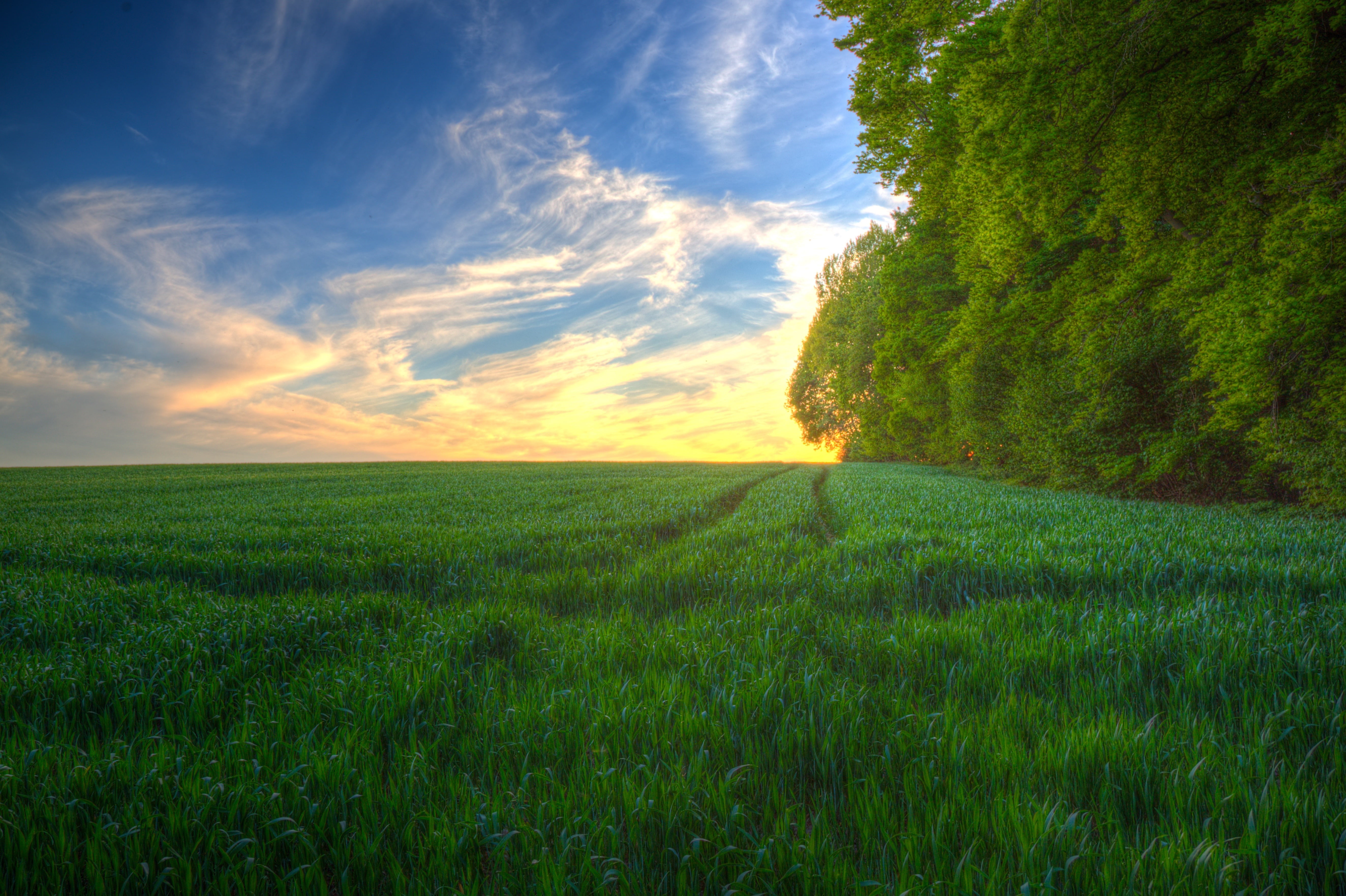 green grassy field over horizon Beauty Spring nature 2k 4k 5k
