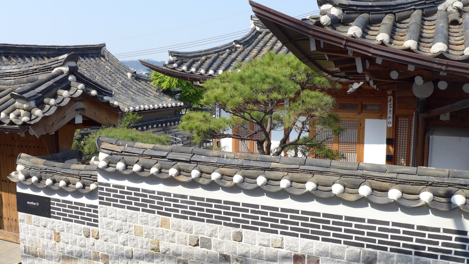 green tree surrounded by houses korean house village classical architecture 2k 4k