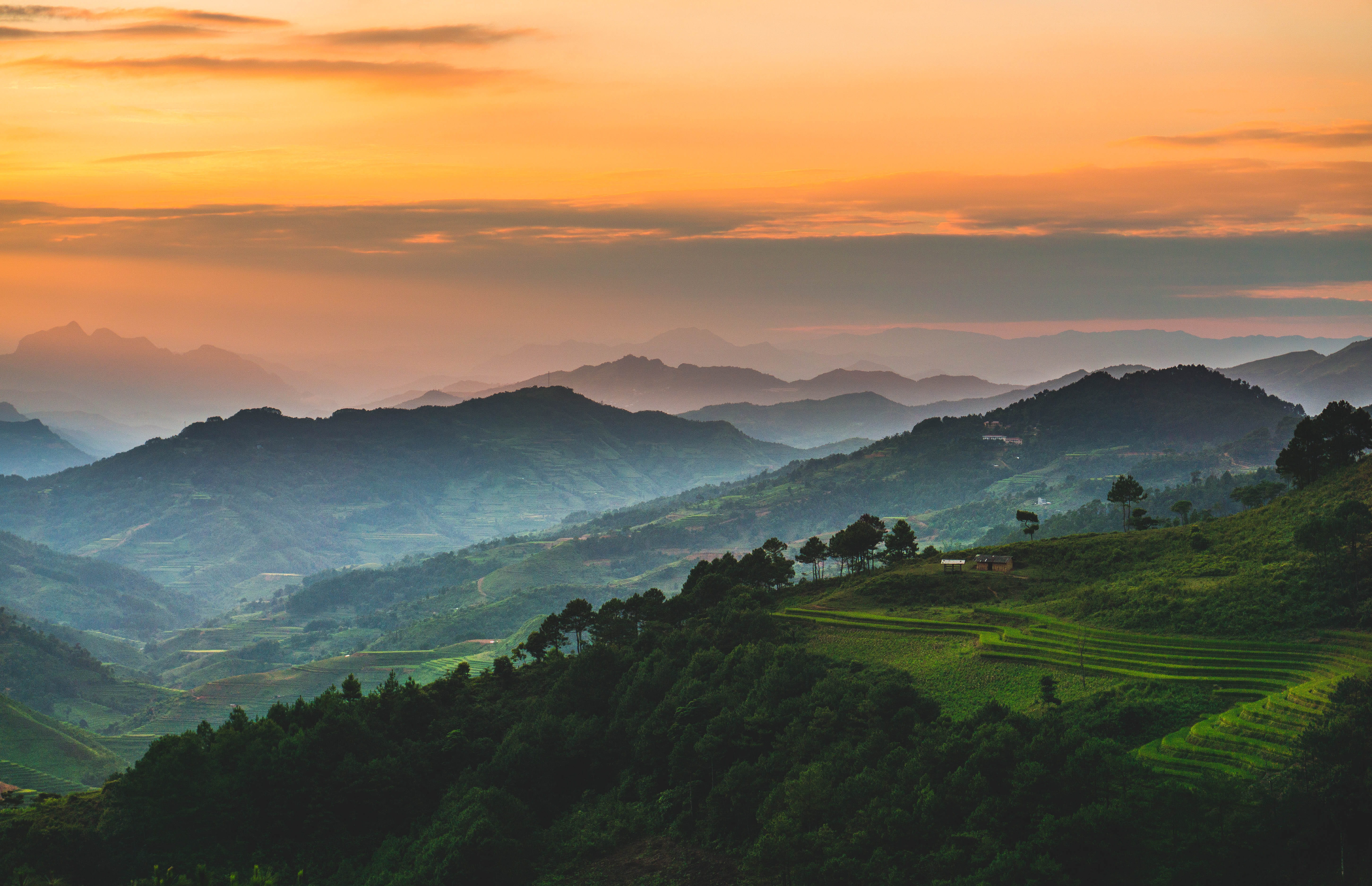 Ha Giang Vietnam green trees on mountain at daytime landscape 2k 4k 5k