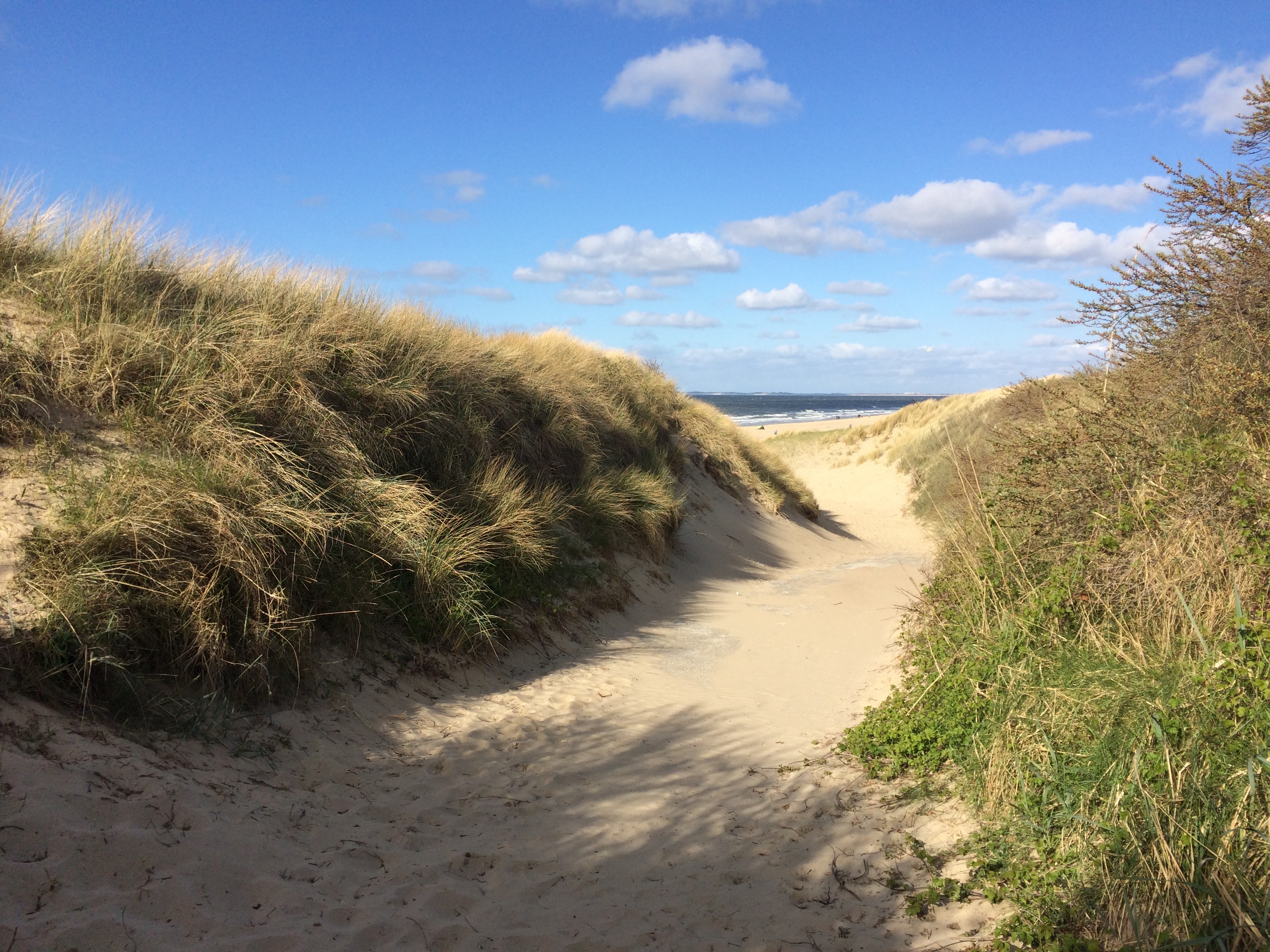 holland zeeland beach north sea coast netherlands sand Dune 2k