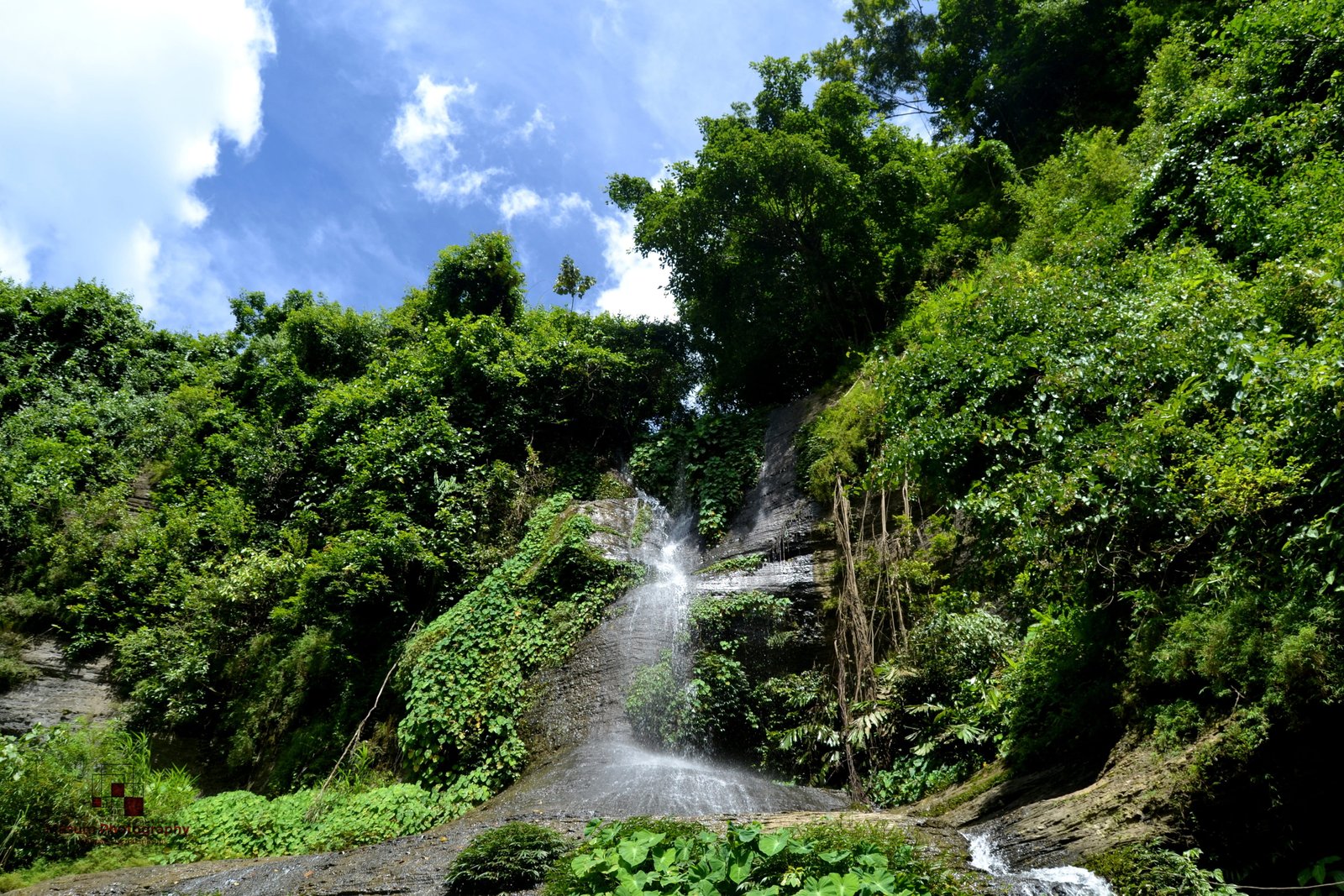 natural beauty bangladesh tree plant water in nature 2k 4k 5k