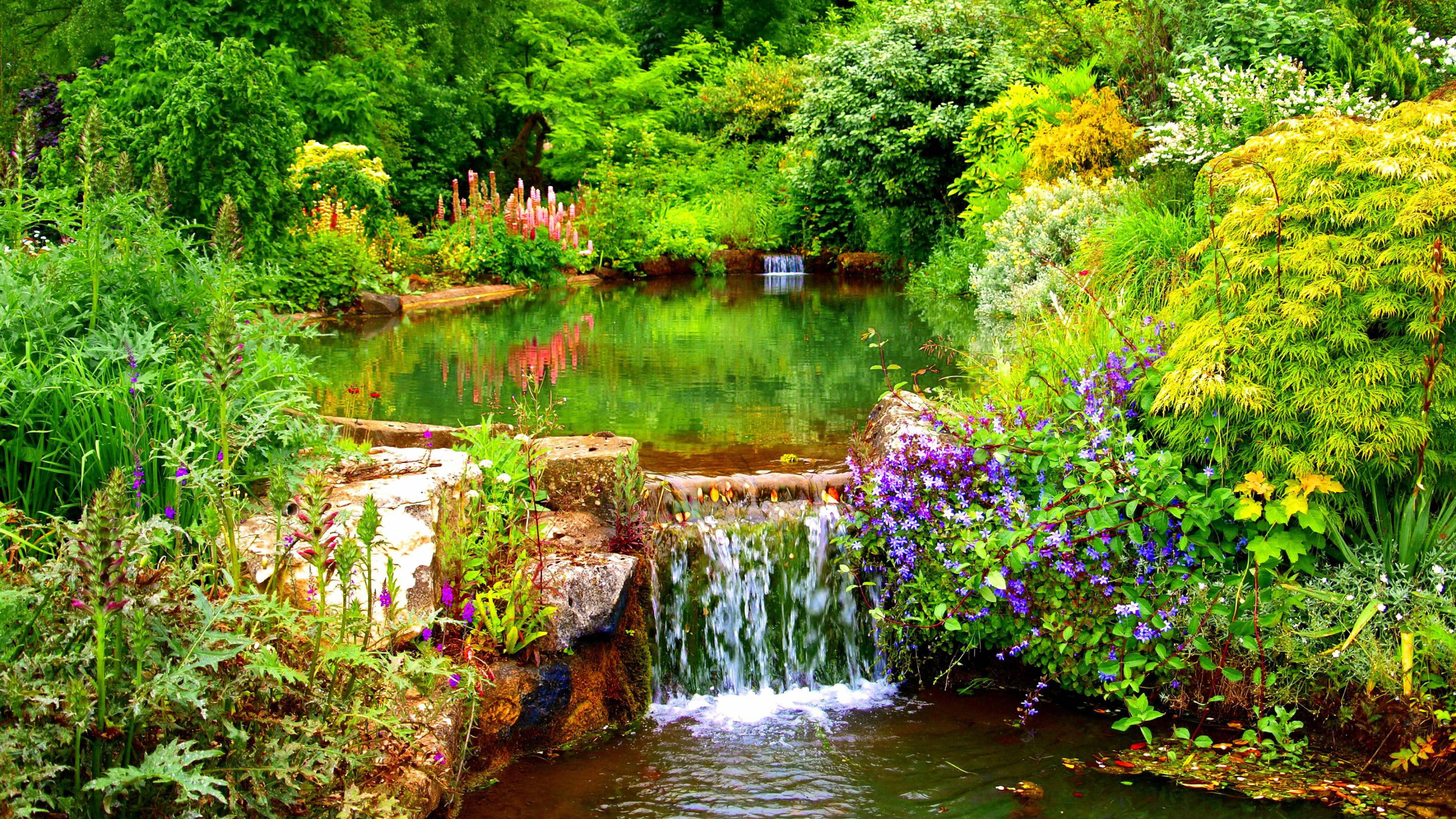 nature landscape tree water forest river sky waterfall 2k 4k