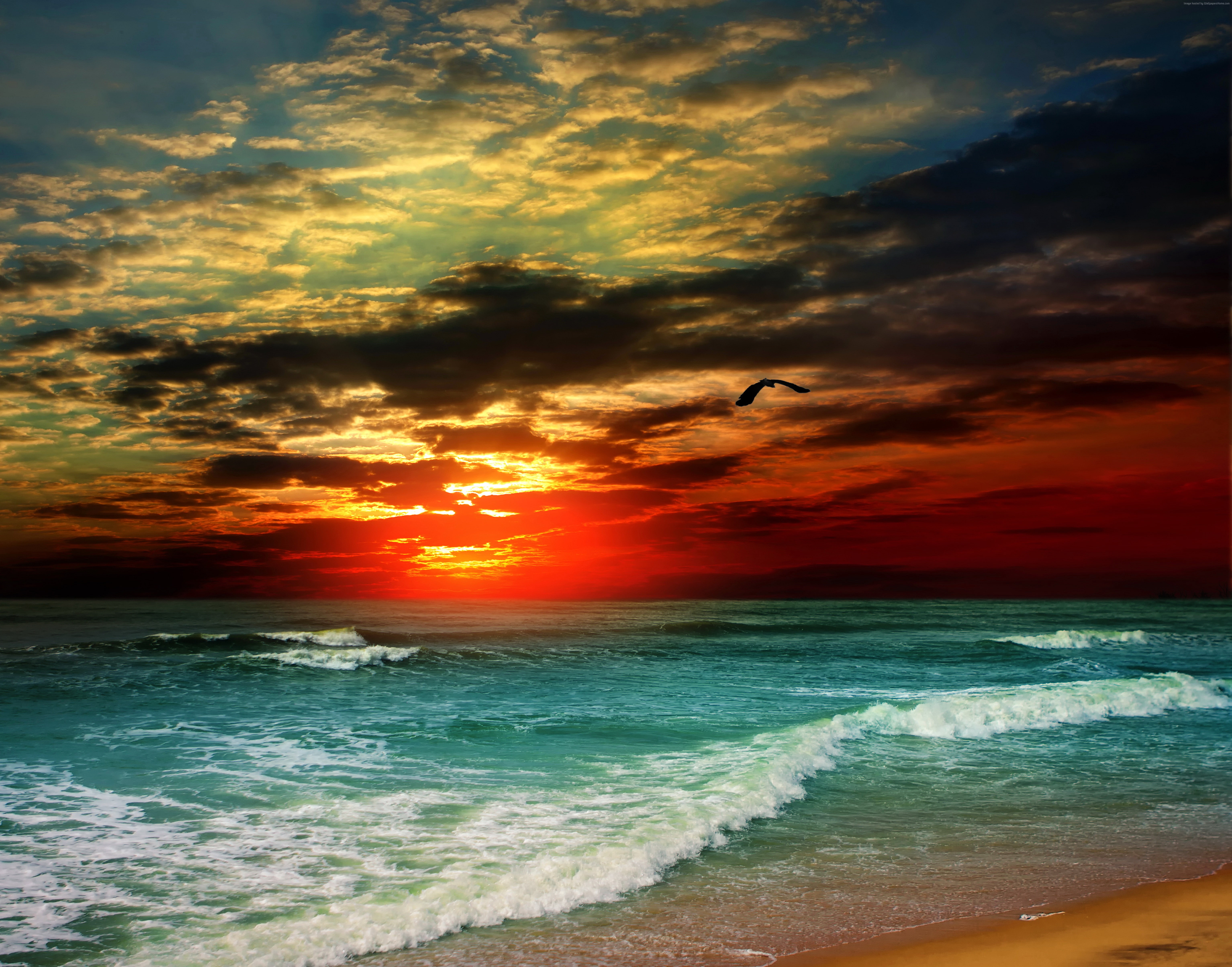 ocean Sea clouds sunset shore 2k 4k 5k