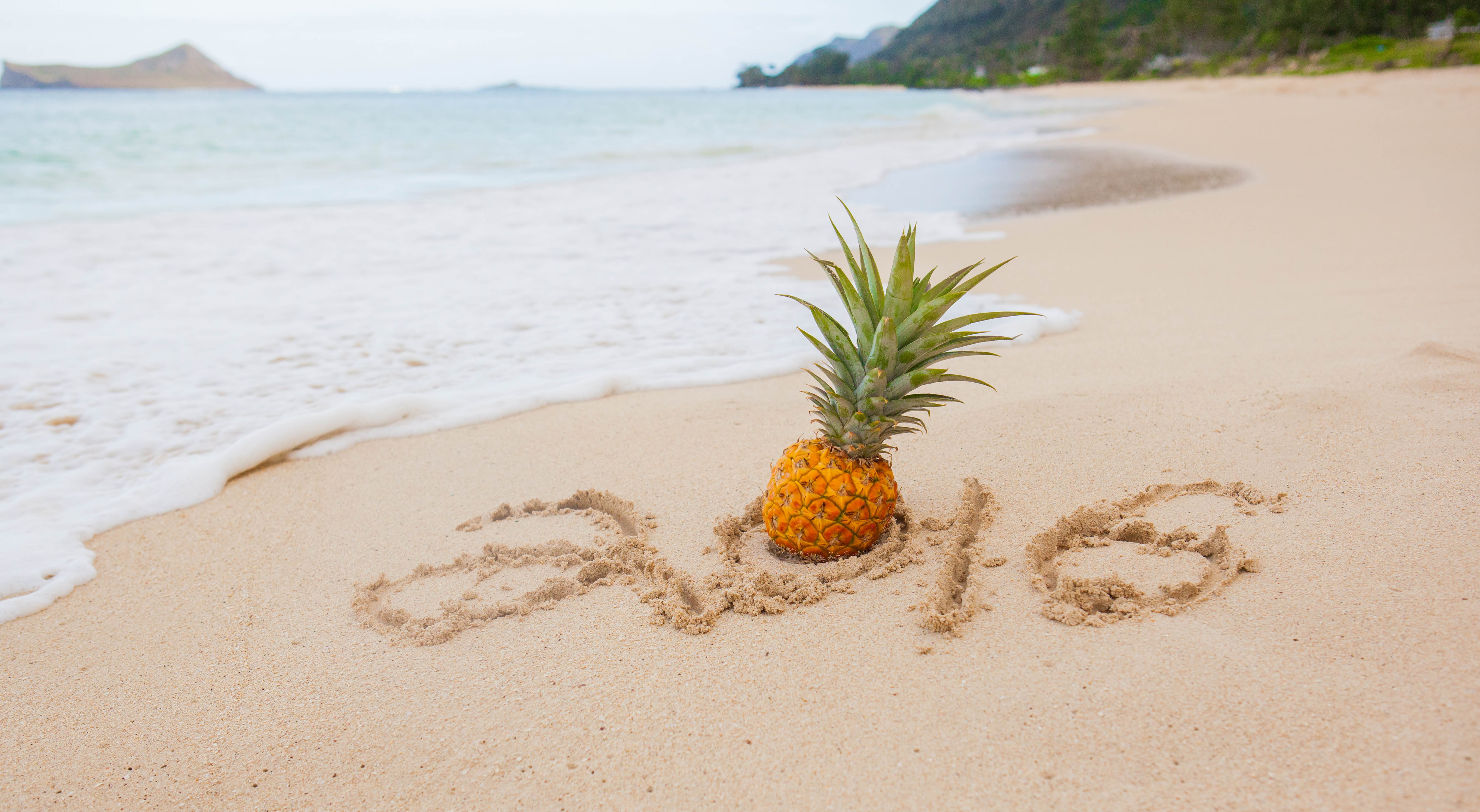 Pineapple near body of water Happy New Year Welcome Hawaii 2k 4k 5k