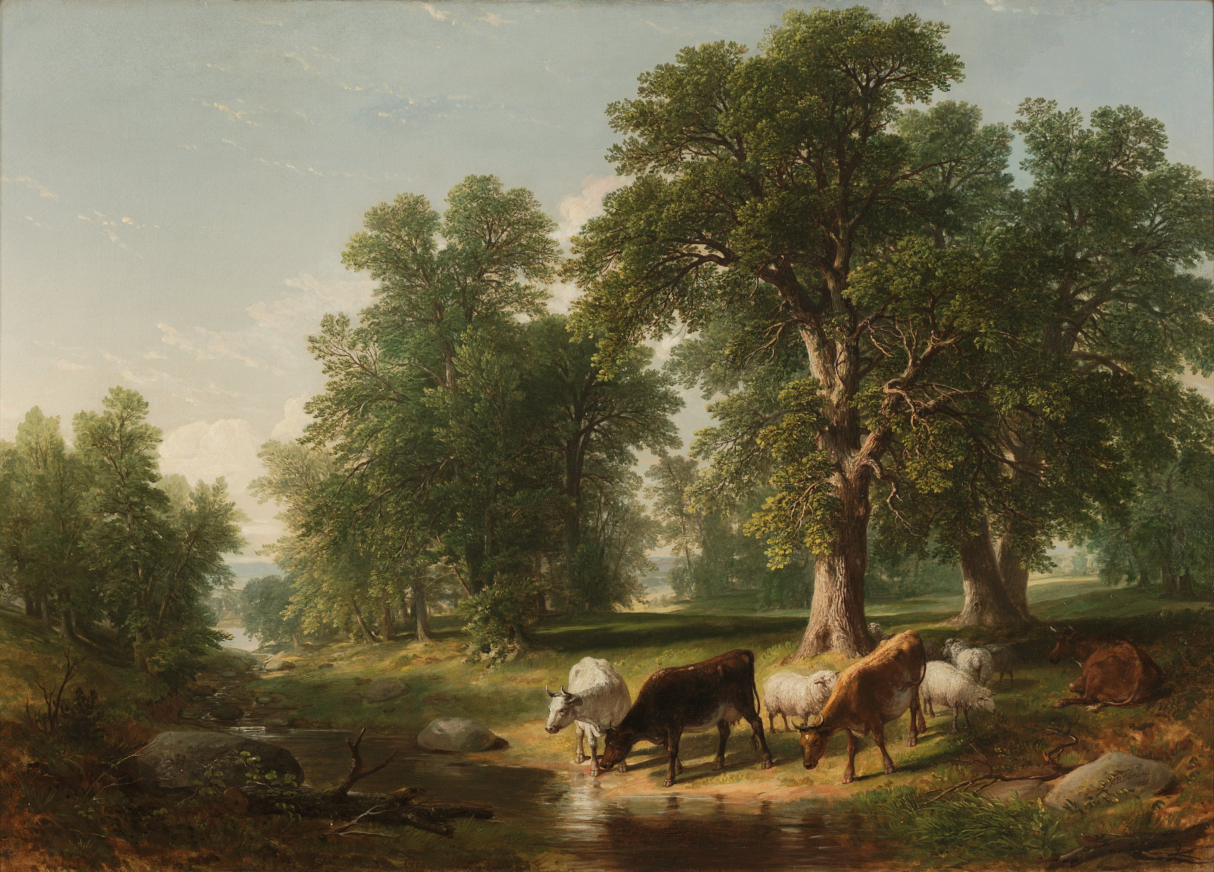 three brown white and black cow drinking water on river asher durrand 2k 4k