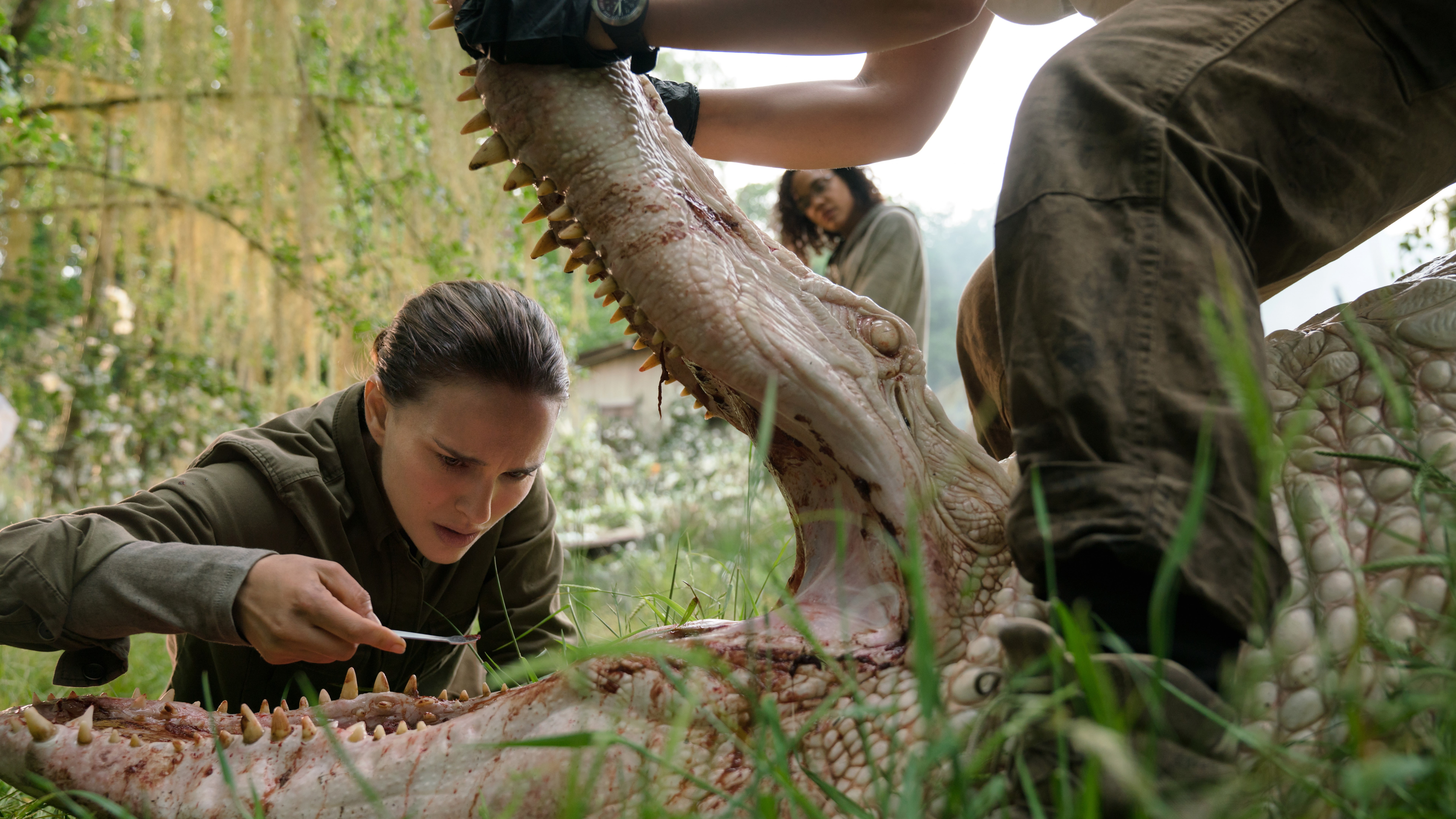 Annihilation Natalie Portman 2k 4k 5k 8k
