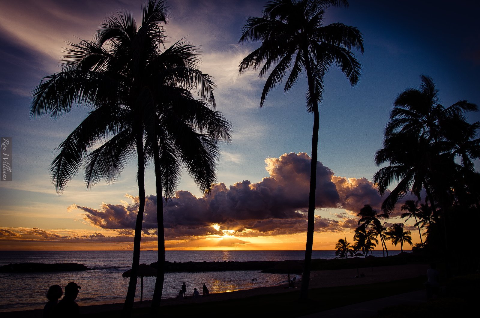 beach sunset photo Honu Lagoon Sunset Hawaii Palm Trees 2k 4k 5k