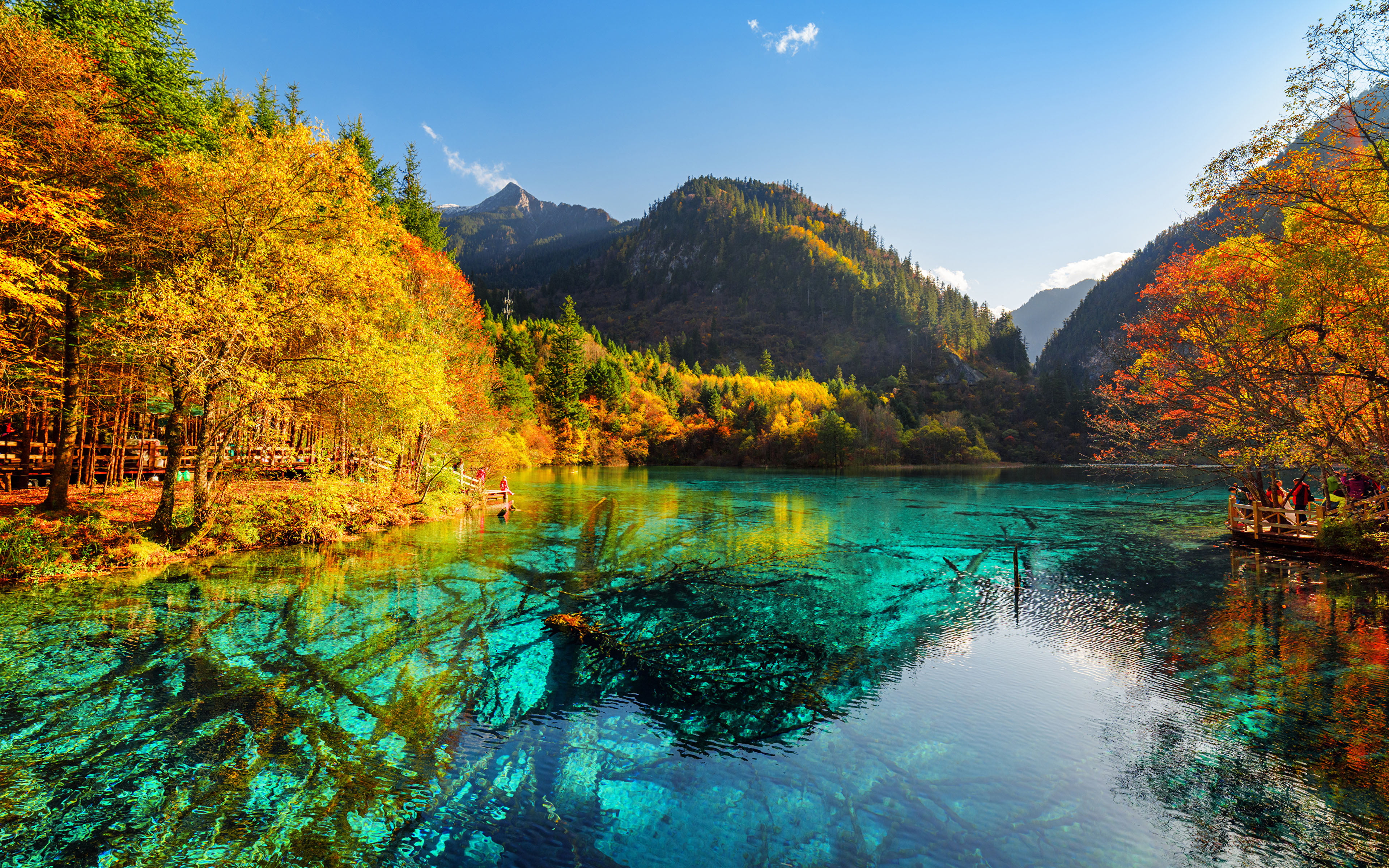 Five Flower Lake Bottom With Old Fallen Trunks China Jiuzhaigou Park Valley Autumn Nature Mountains 2k 4k