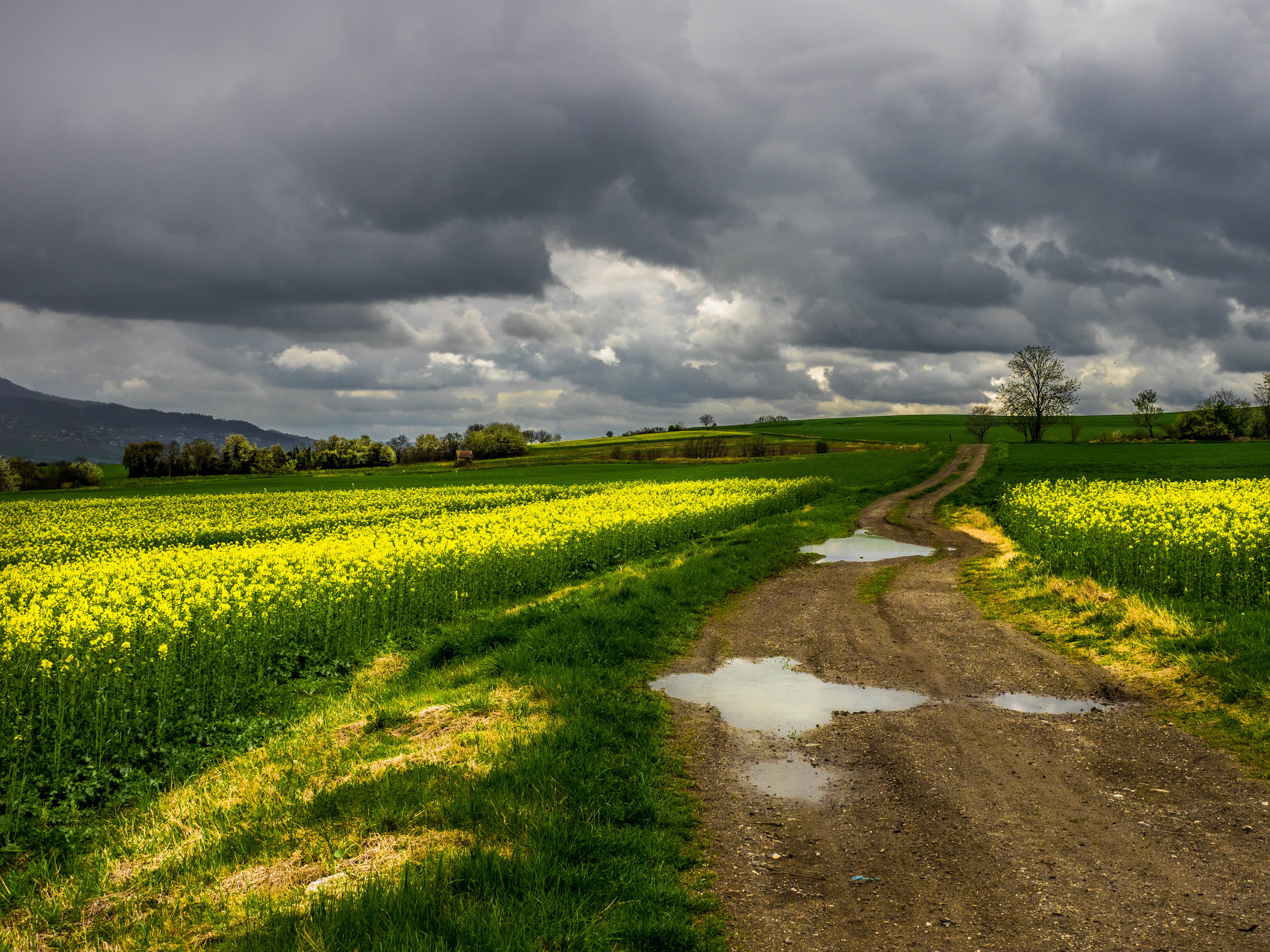 green field under cloudy sky nature rural Scene agriculture 2k 4k 5k