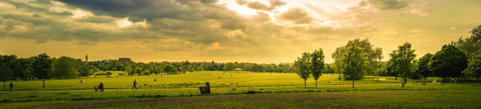 Green Grass Field during Sunset city park cloud clouds crop 2k 4k 5k 8k 10k