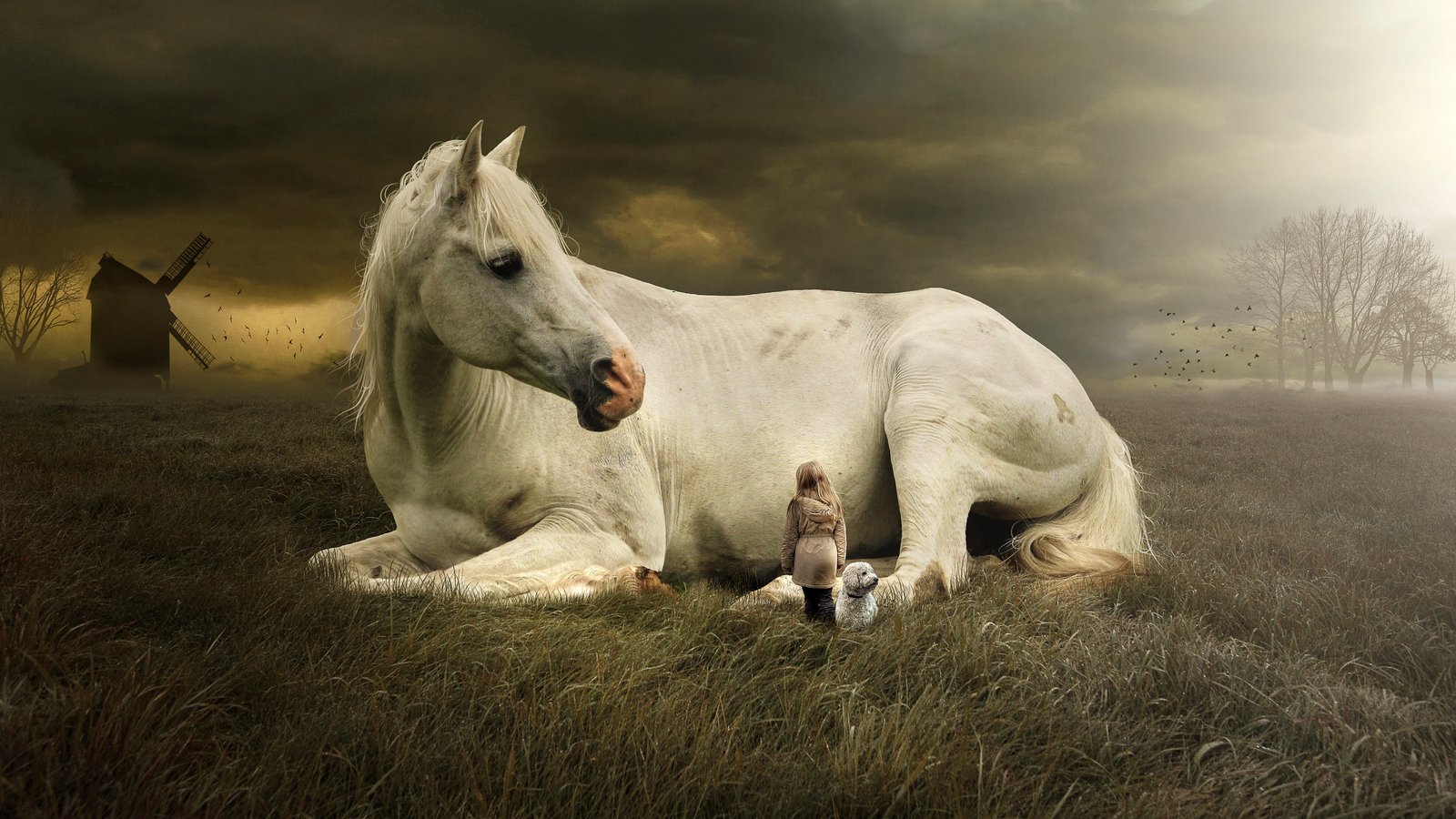horse Fantasy HD 2k 4k 5k