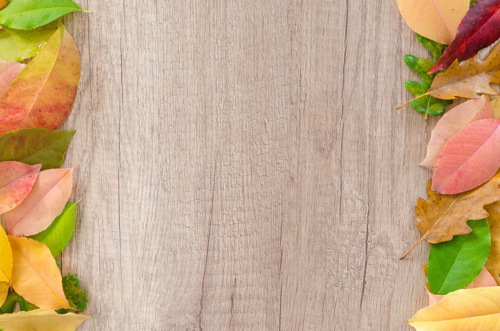 beige wooden board with leaves autumn orange nature red yellow 2k 4k 5k