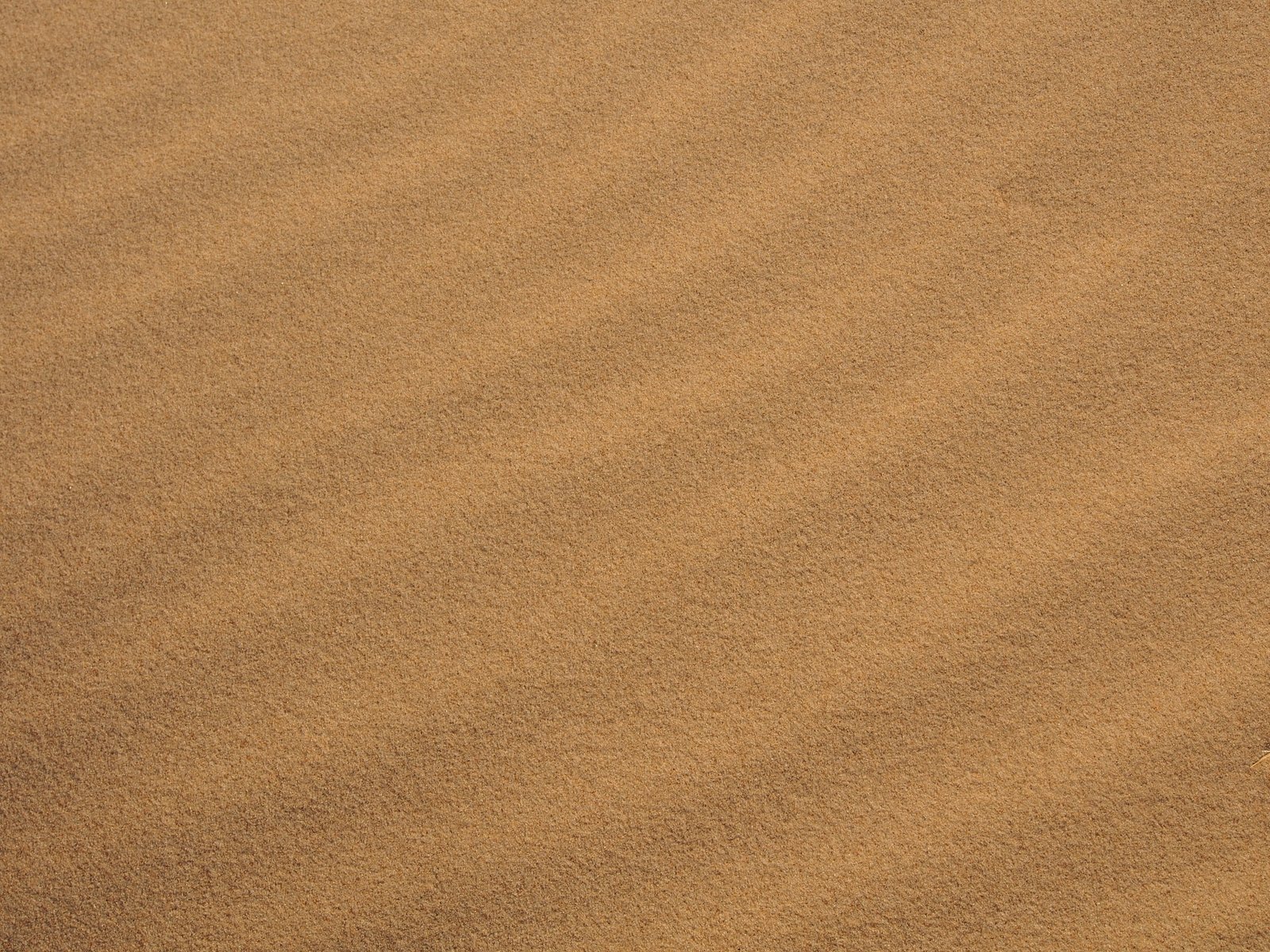 sand beach baltic sea texture background Dune 2k 4k 5k