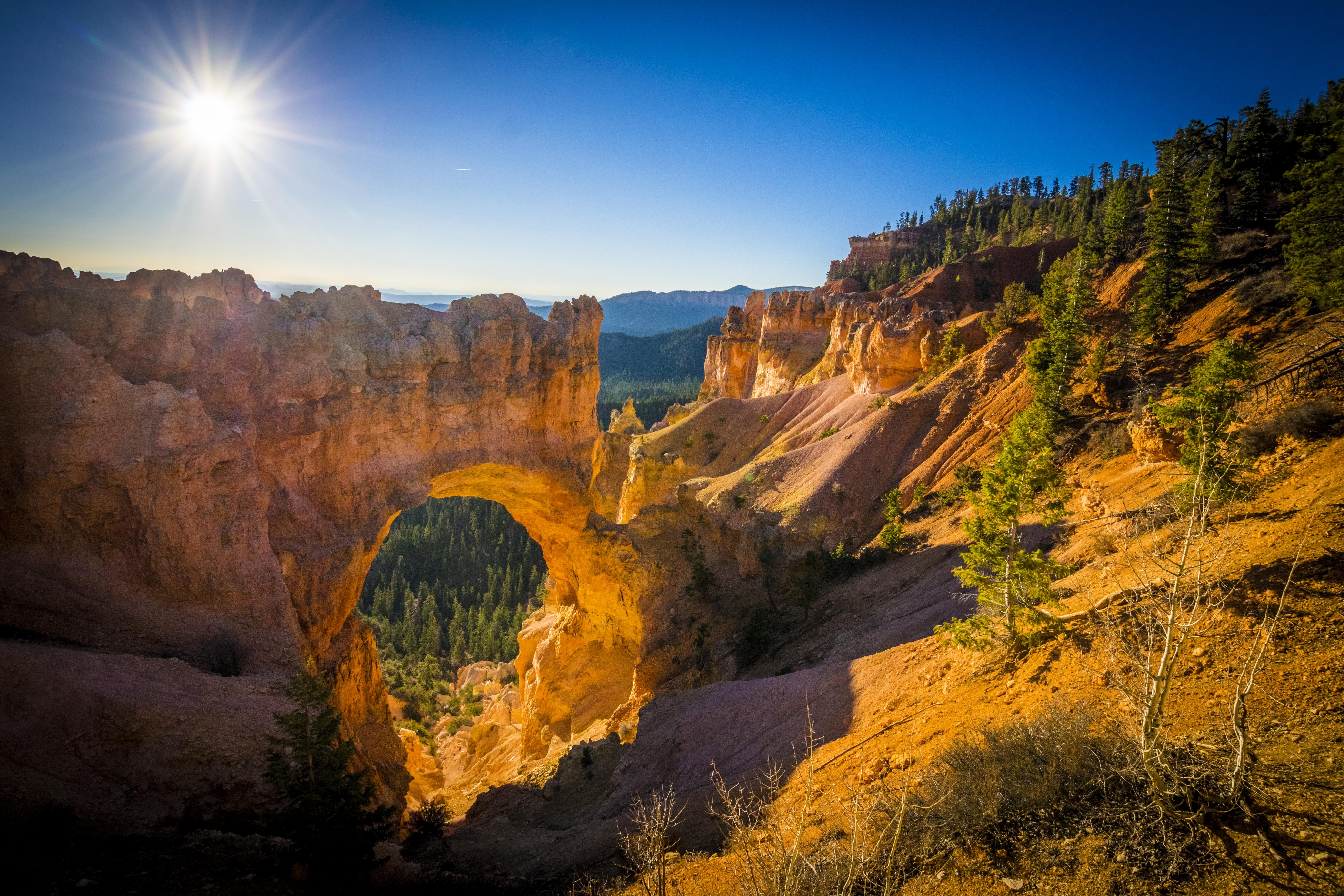 forest on cliff side during daytime Natural Bridge canyon national park 2k 4k 5k