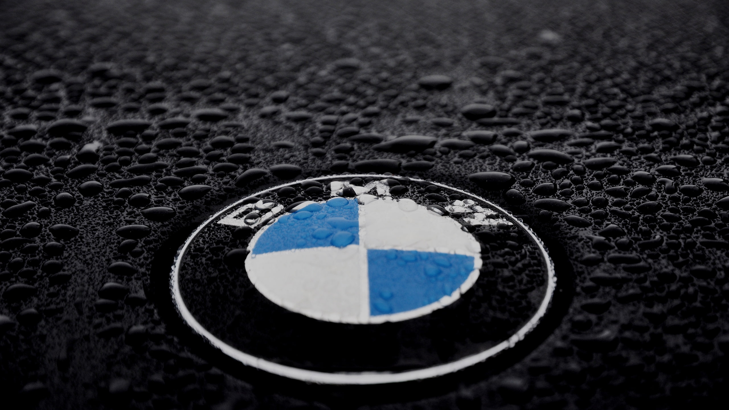 BMW Logo Badge Water Drops Macro HD cars 2k