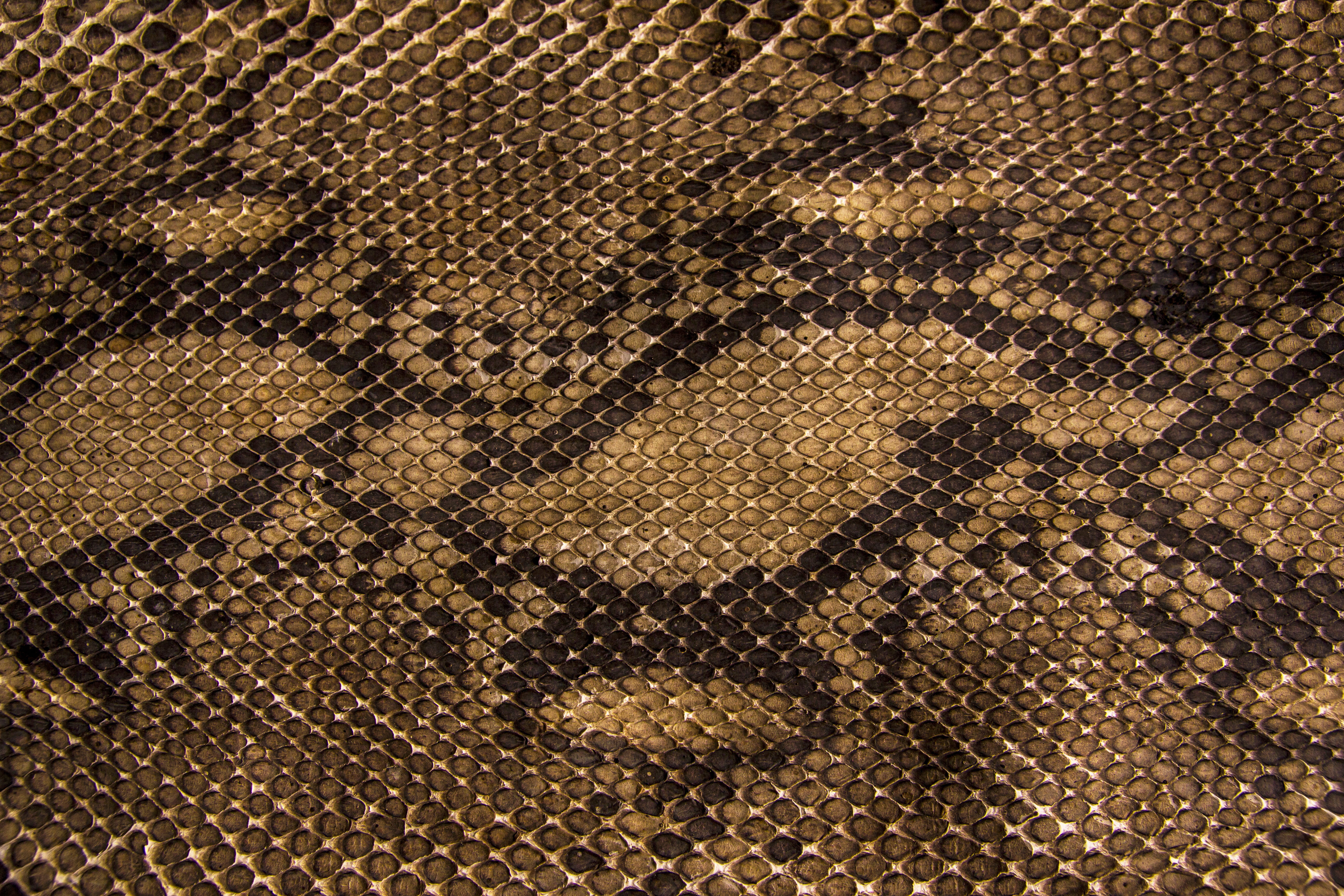 brown and black snakeskin pattern textile texture scales leather 2k 4k 5k