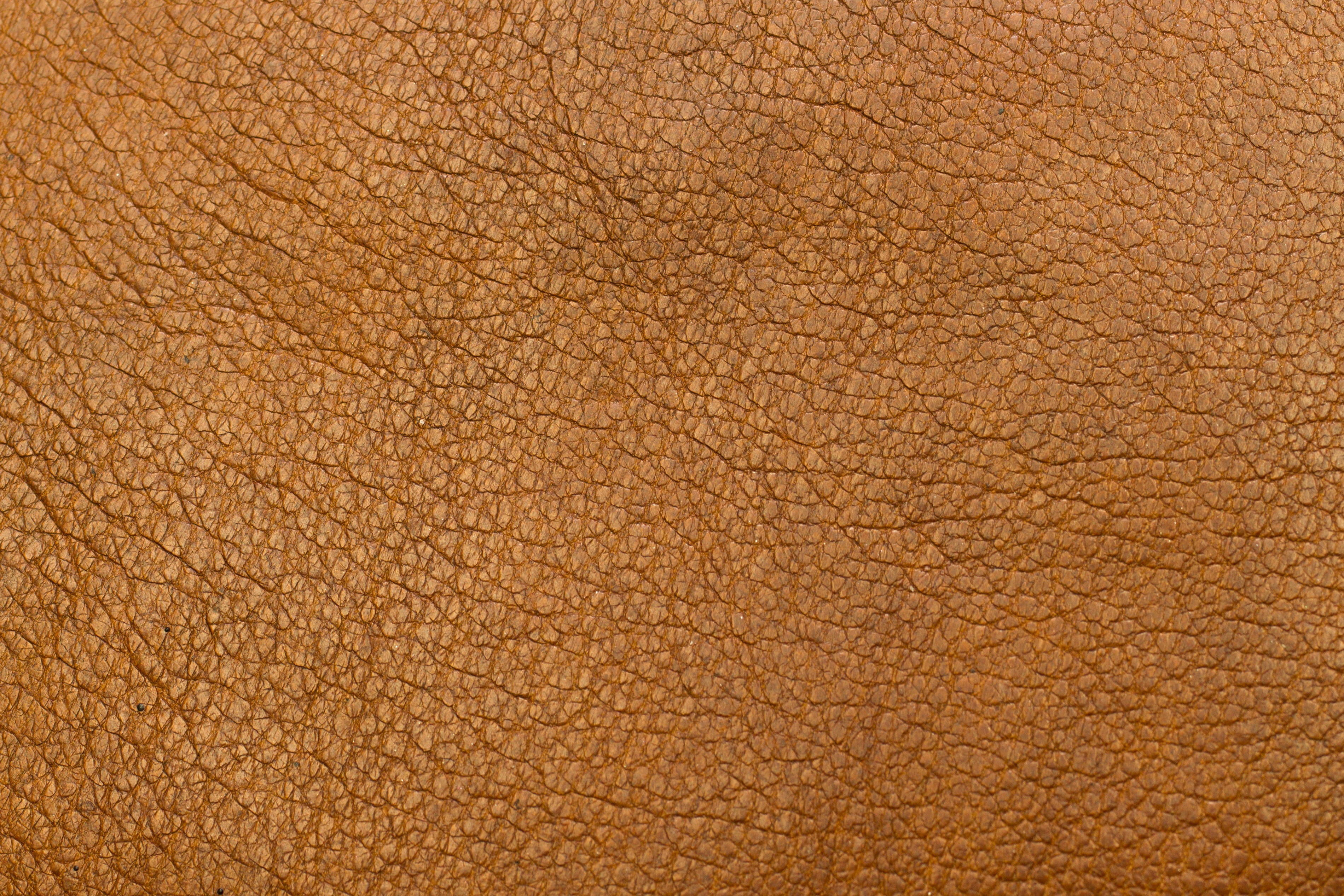 brown pebble leather textile background closeup colors design 2k 4k