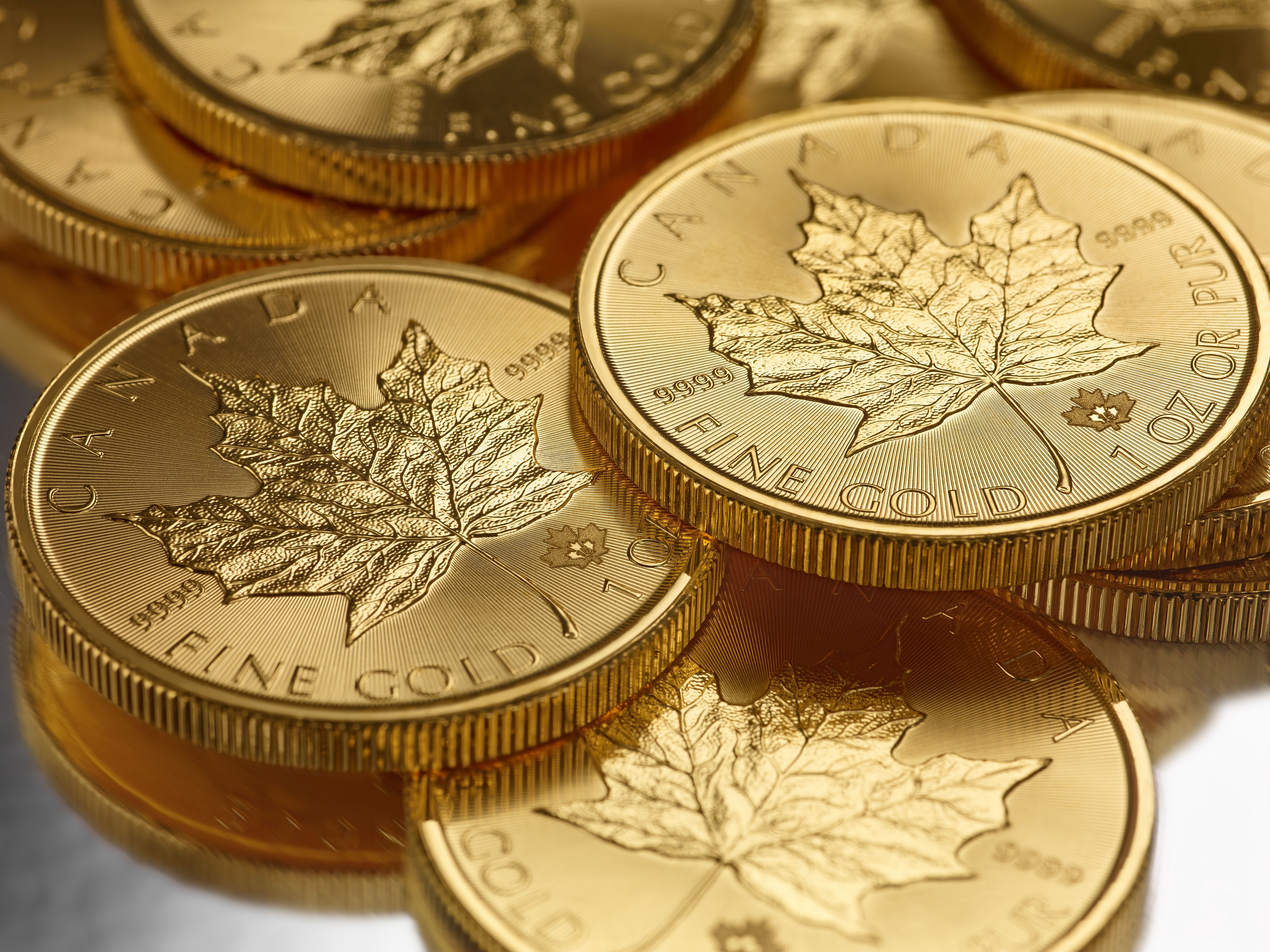 Canada macro gold money coins metal finance currency 2k 4k 5k