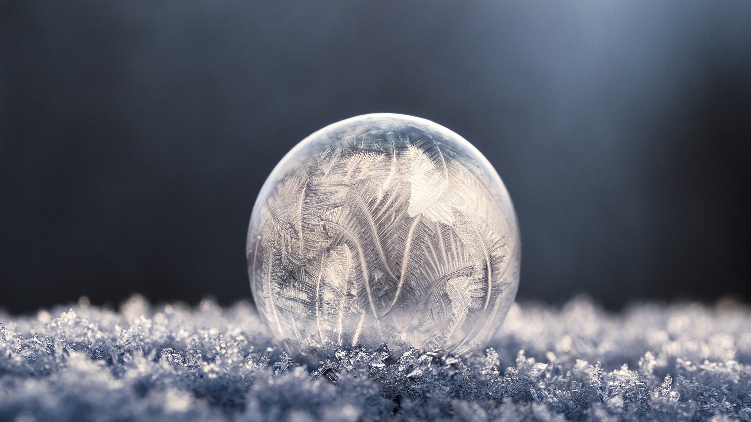 clear glass ball round crystal on ground photograph bubbles 2k