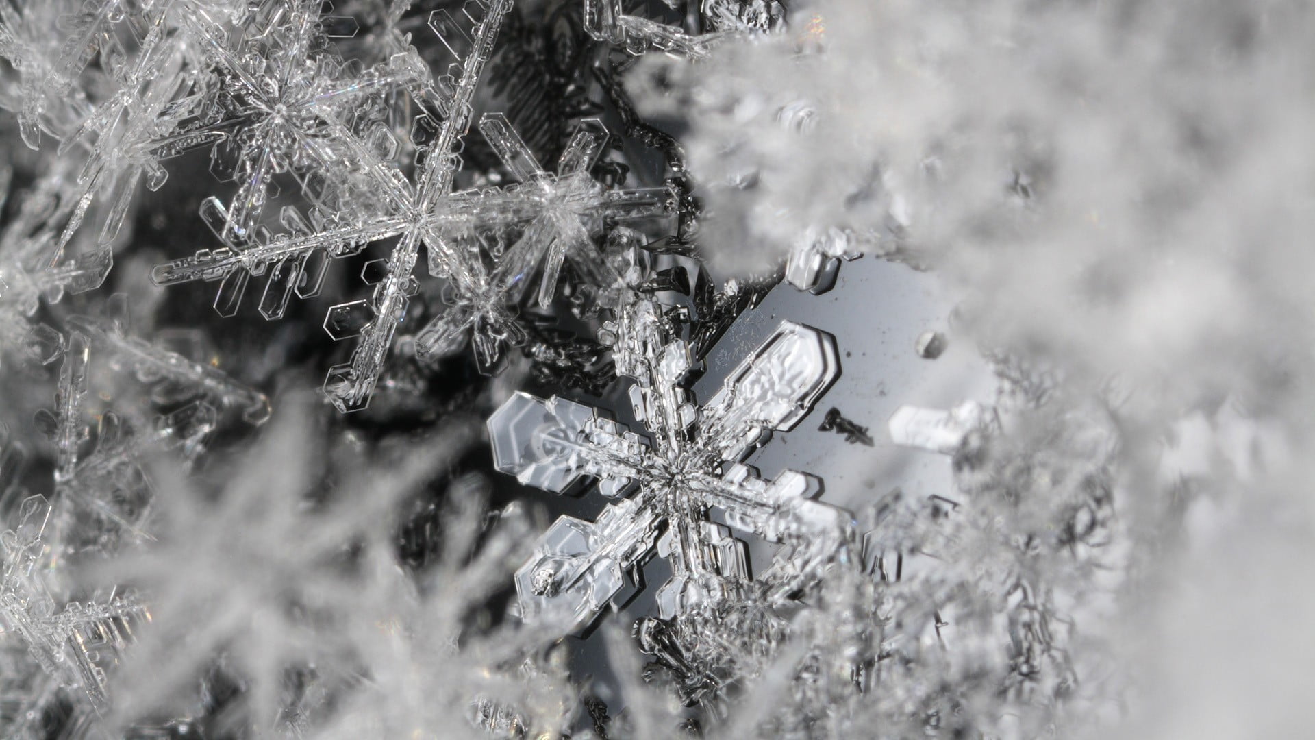 clear snowflake ice macro close up winter cold temperature 2k