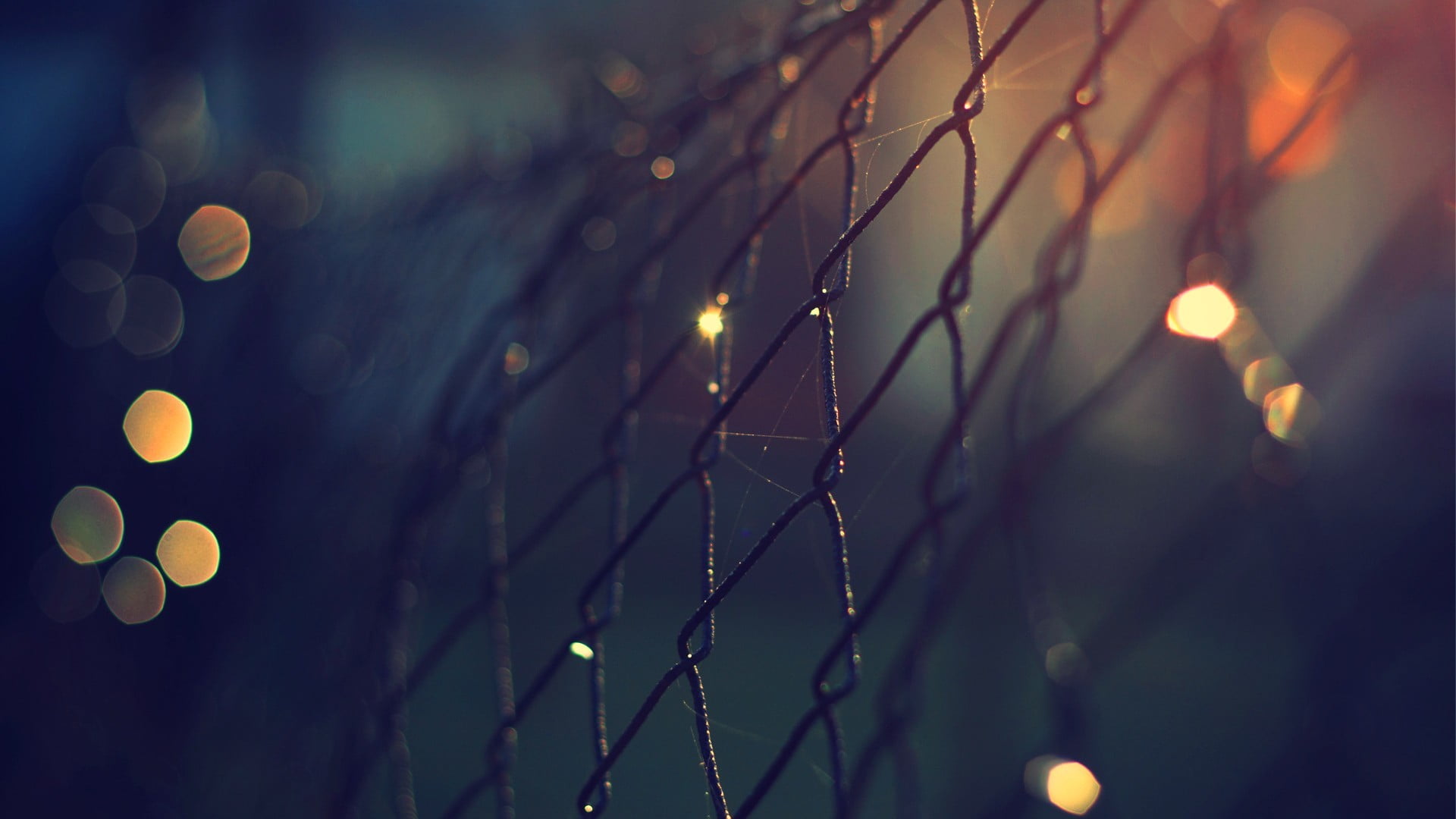 close up photo of cyclone fence macro shot photography with light bokeh 2k