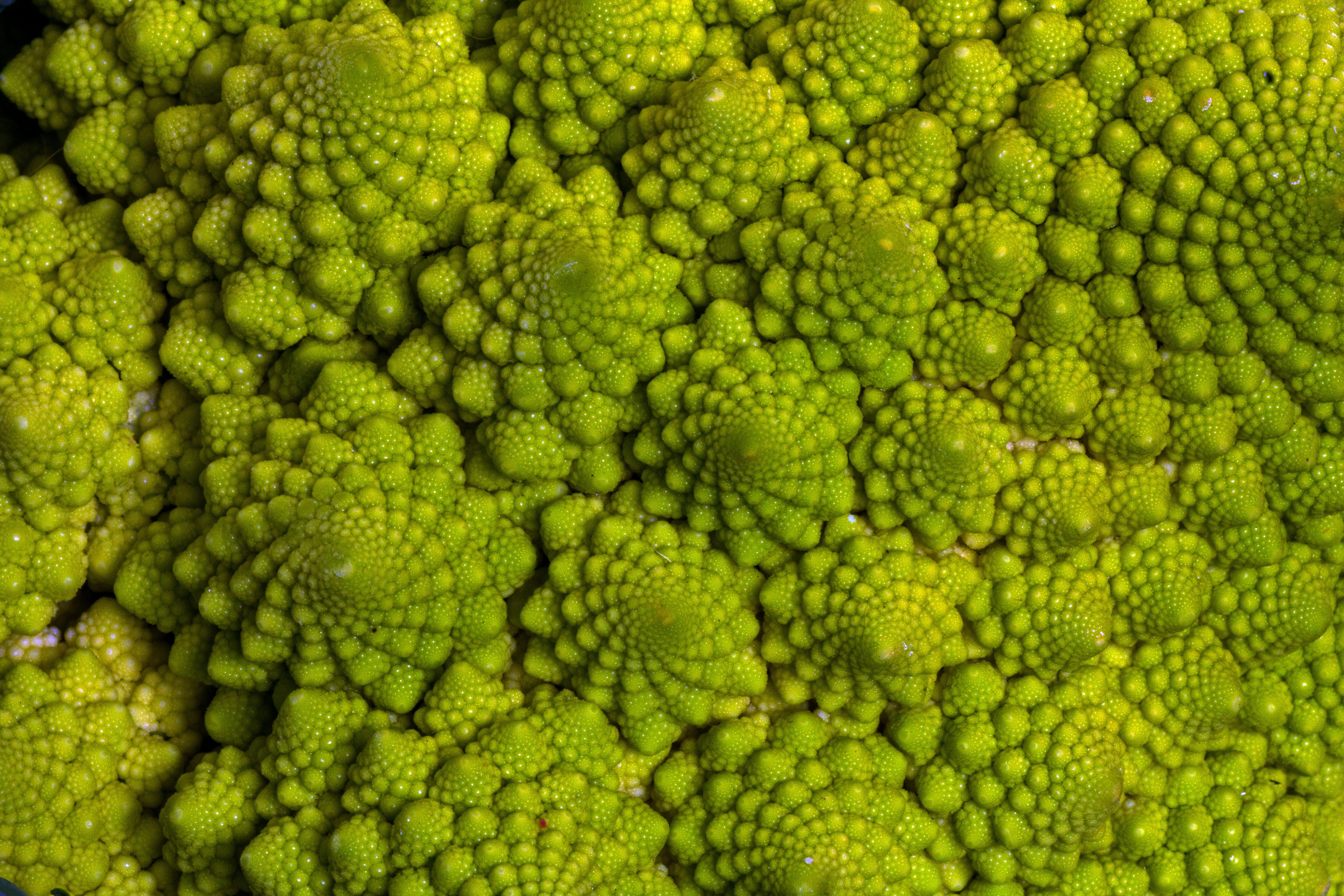 closeup photo of Romanesco broccoli vegetables macro cauliflower 2k 4k 5k
