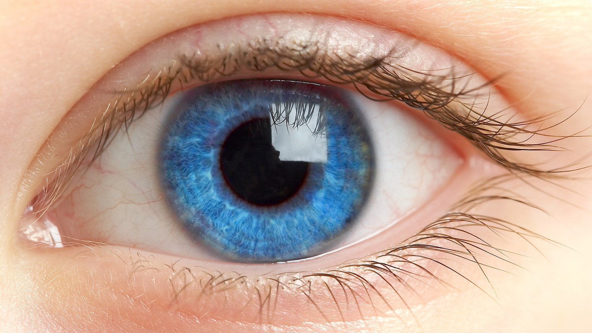 eyes blue retina pupil eyelashes macro 2k