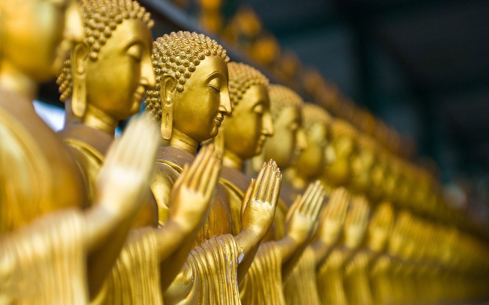 gold colored steel Buddha statue lot buddha depth of field 2k