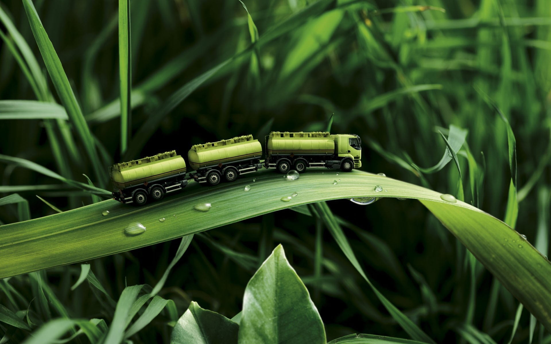 green freight truck scale model toy macro photography of train on grass 2k