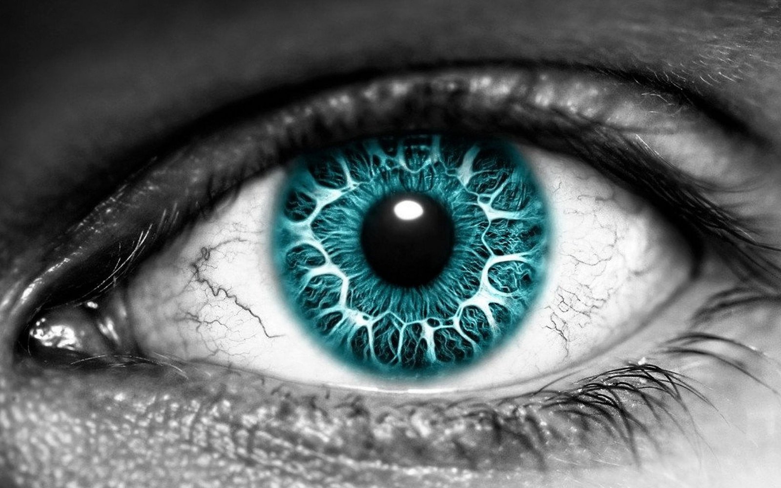 human blue and black eye eyes eyesight 2k