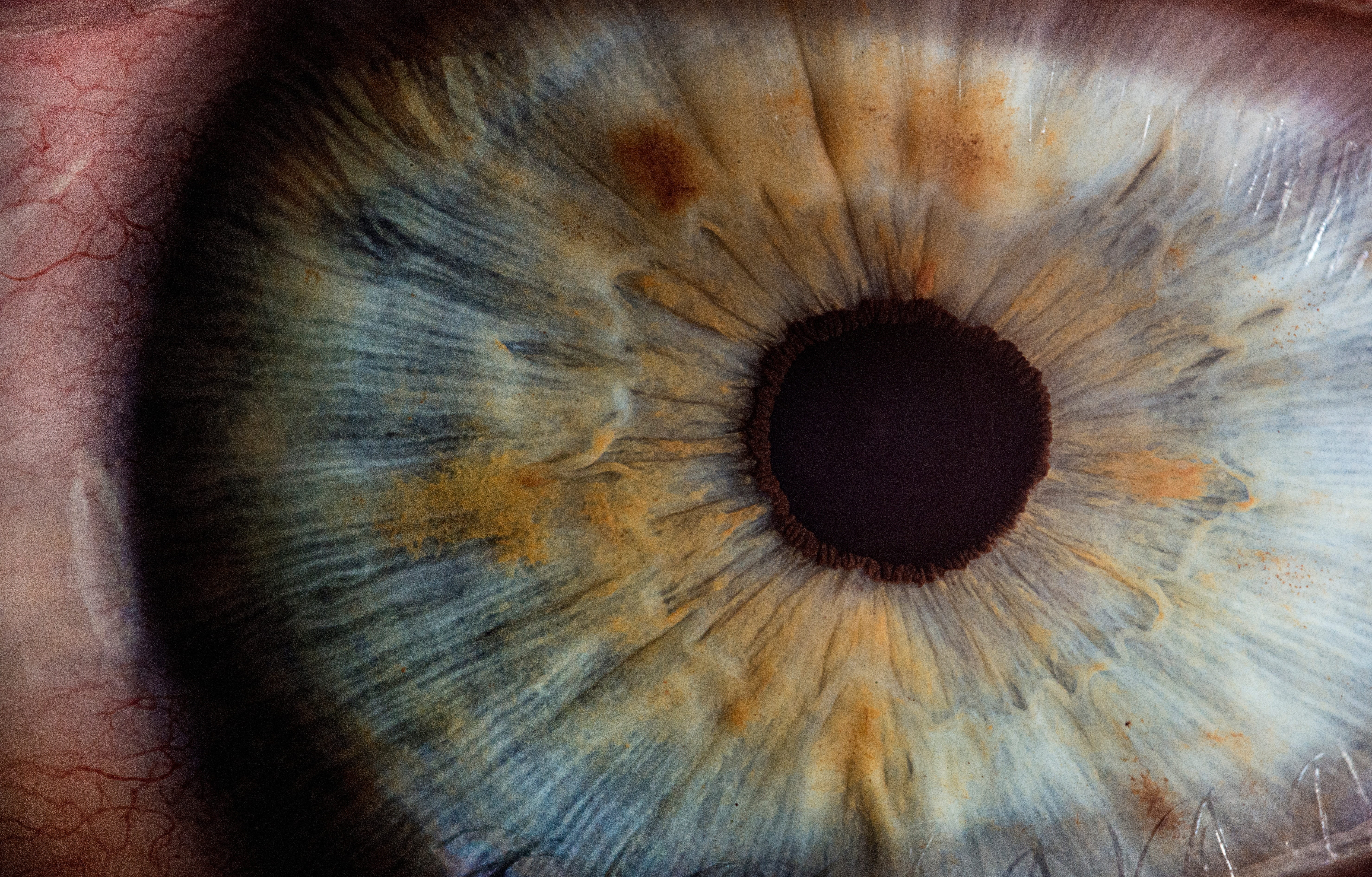 human eye in close up photography iris pupil eyes macro people 2k 4k 5k