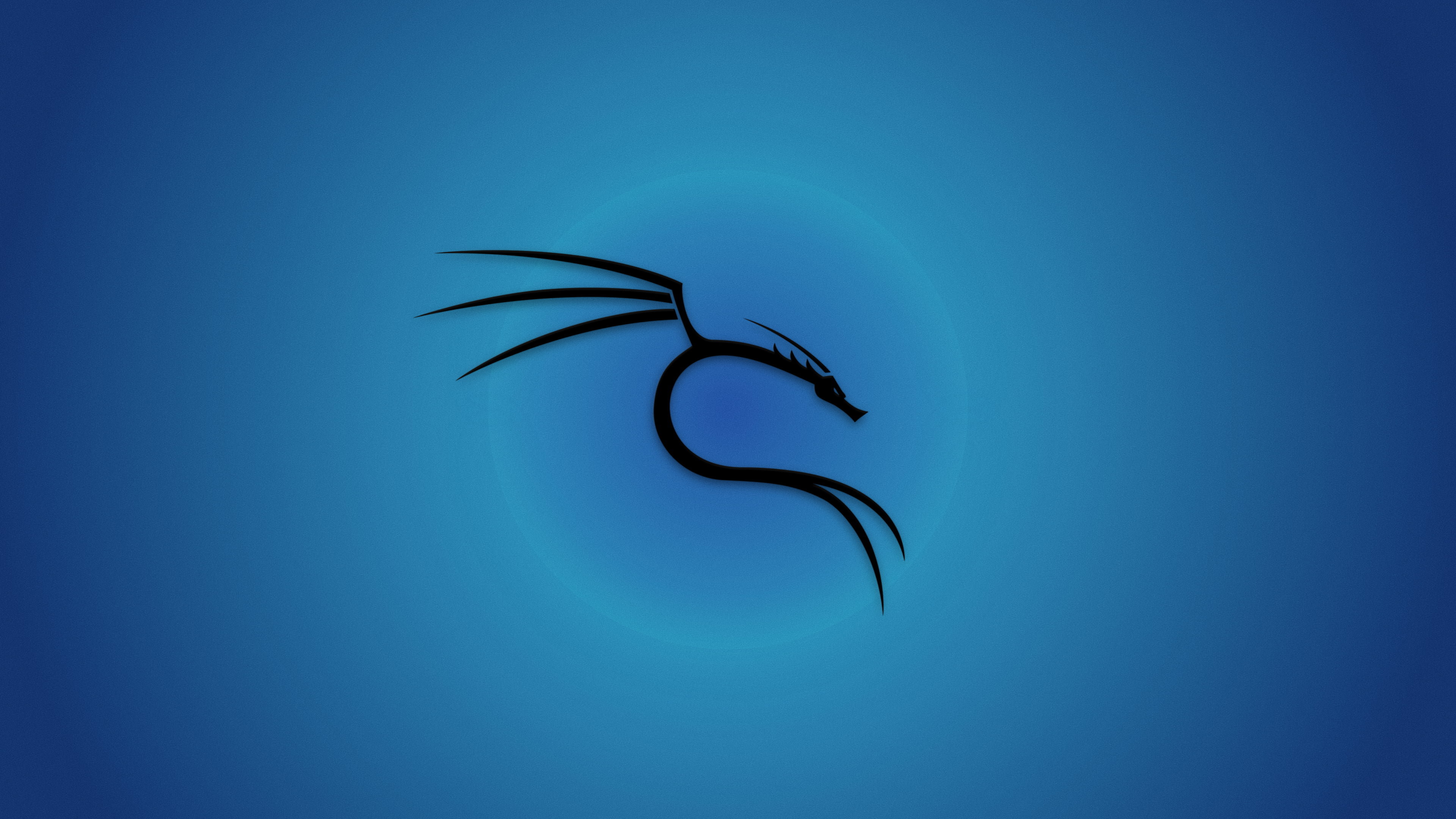 Kali Linux Backtrack blue background 28 2k 4k