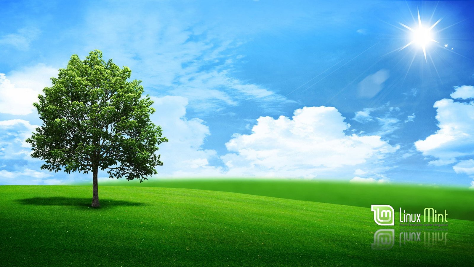 Linux Mint 2k