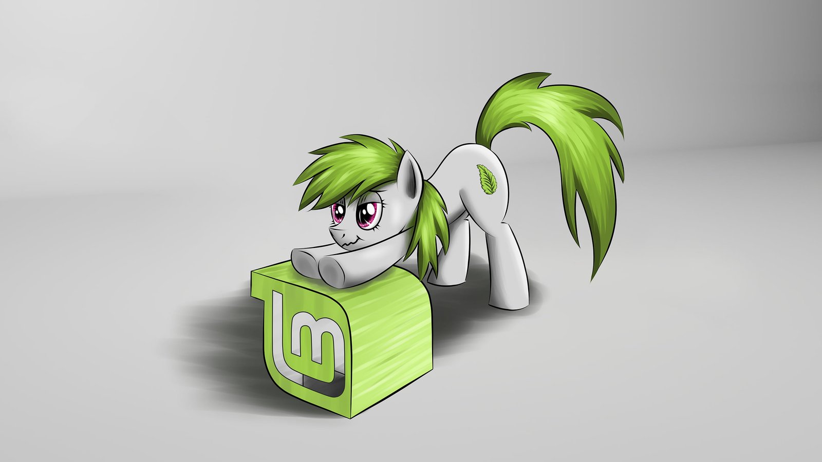 Linux GNU Mint My Little Pony studio shot green color 2k