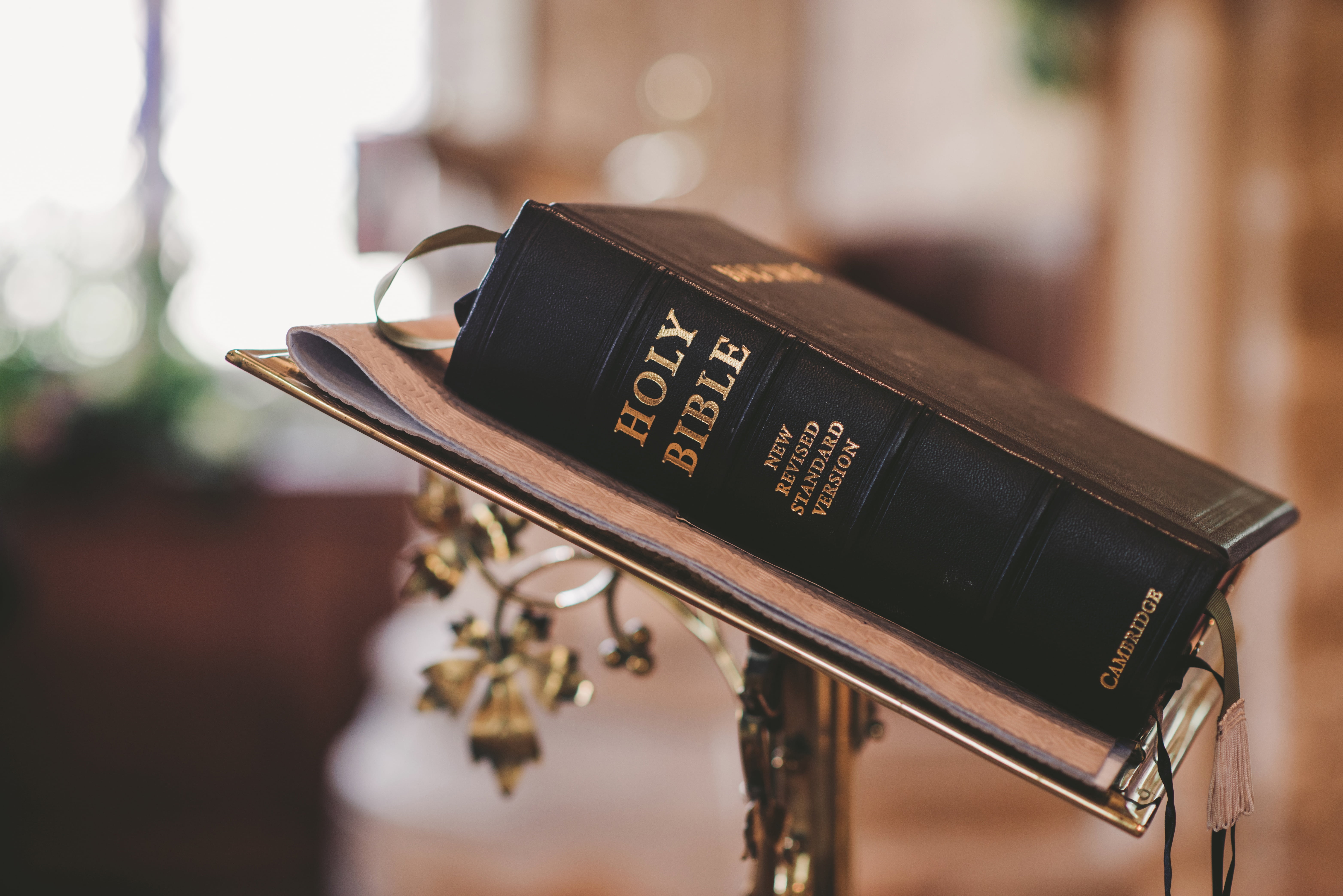 macro photography of Holy Bible church wedding christian catholic 2k 4k 5k